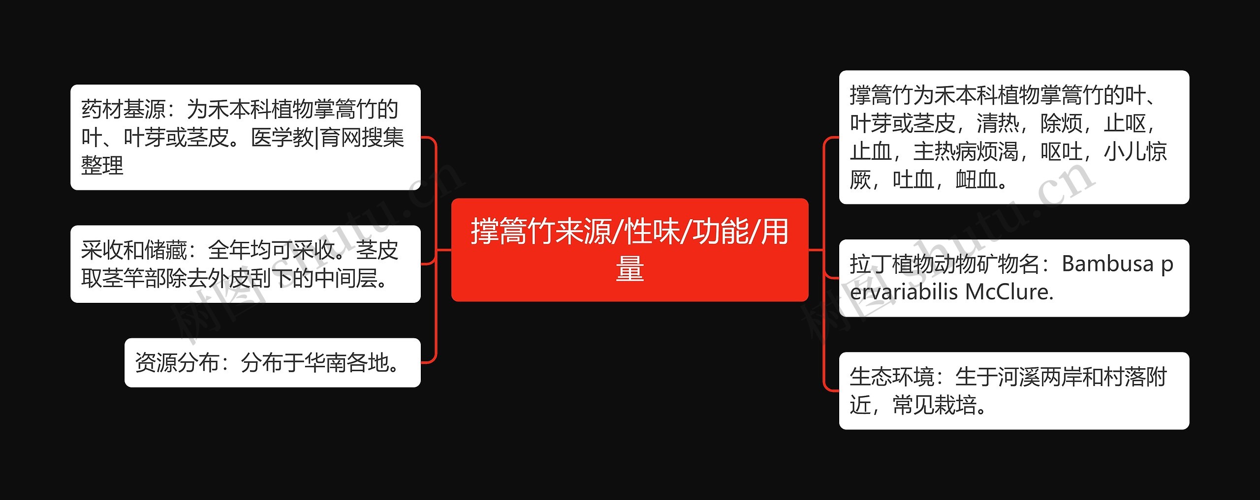 撑篙竹来源/性味/功能/用量