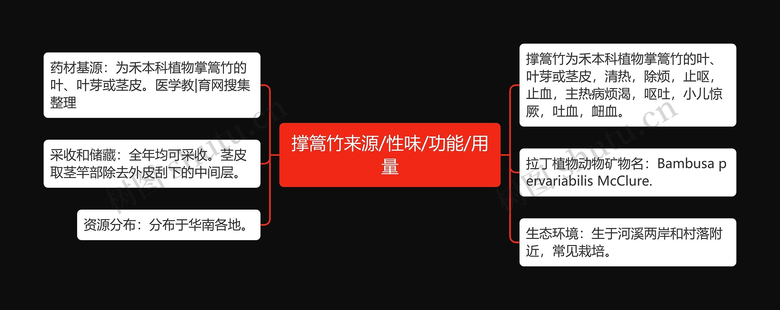 撑篙竹来源/性味/功能/用量思维导图