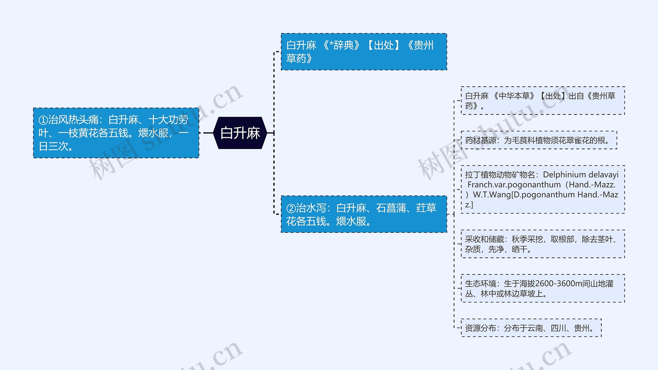 白升麻思维导图