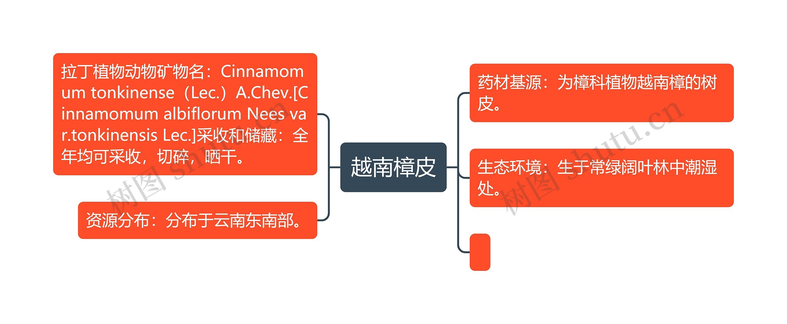 越南樟皮思维导图