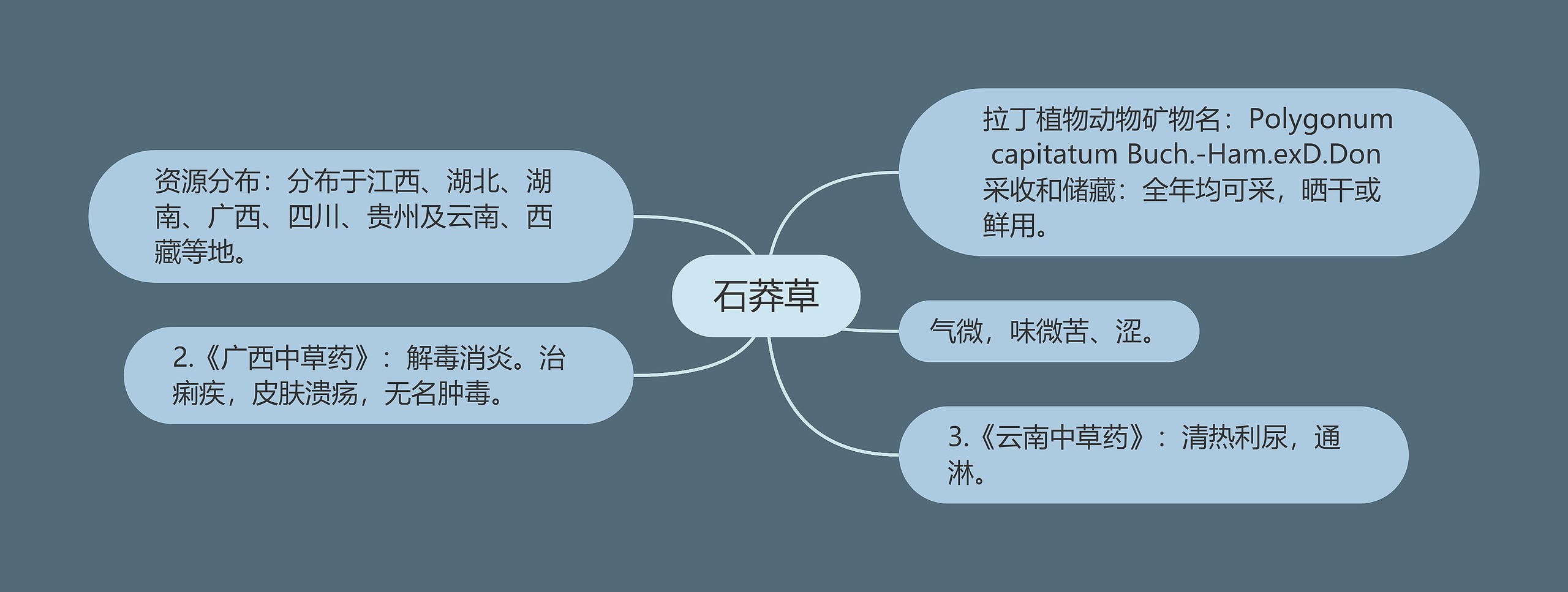 石莽草思维导图