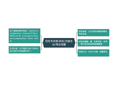 凹瓦韦来源/别名/功能主治/用法用量