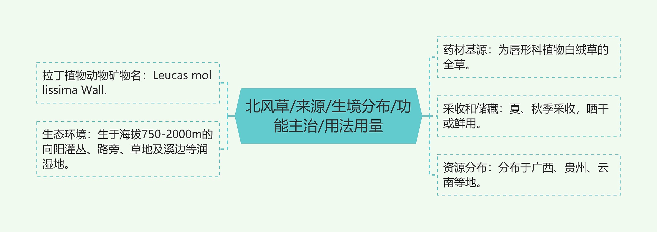 北风草/来源/生境分布/功能主治/用法用量 北风草/来源/生境分布/功能主治/用法用量