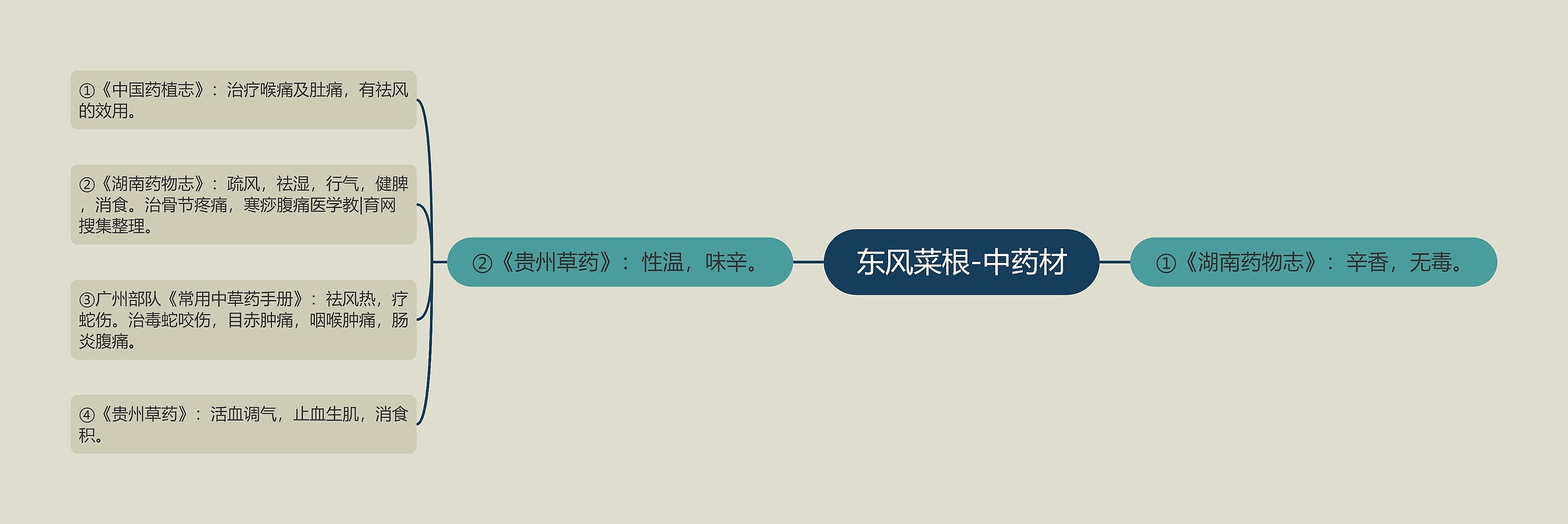 东风菜根-中药材