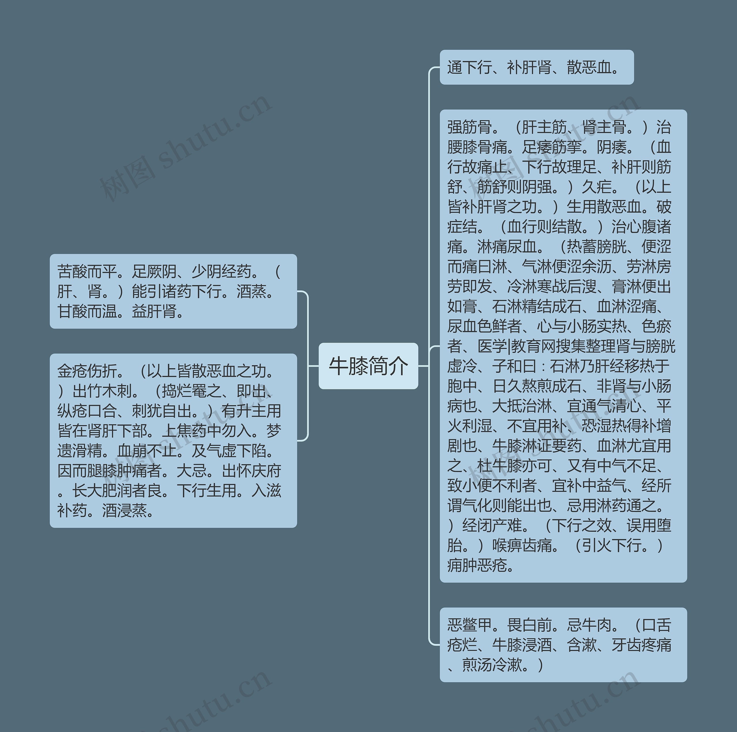 牛膝简介 牛膝简介