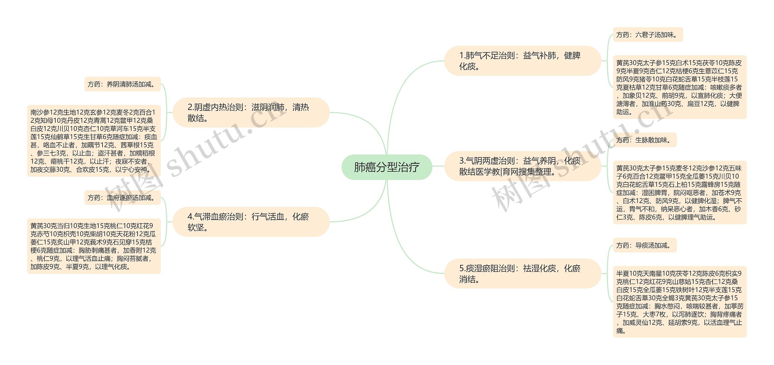 肺癌分型治疗思维导图