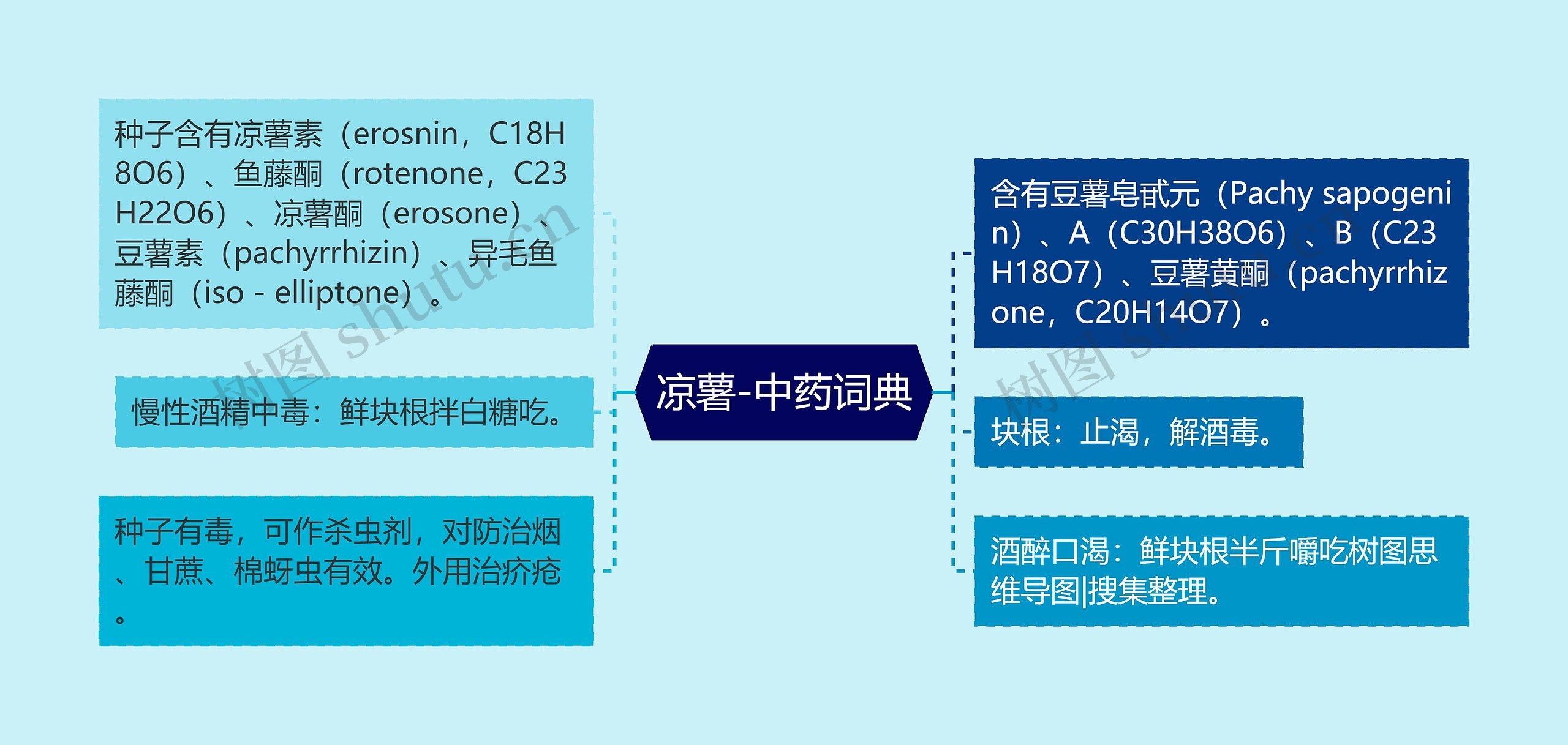 凉薯-中药词典思维导图