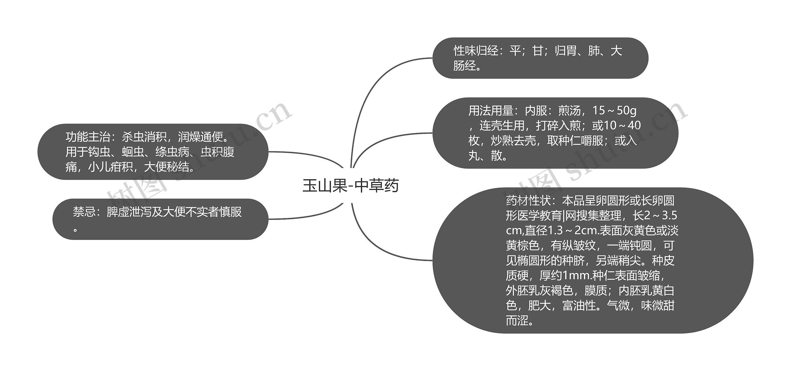 玉山果-中草药 玉山果-中草药