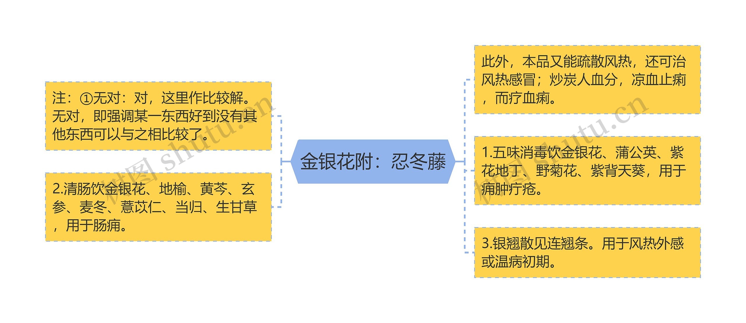 金银花附：忍冬藤思维导图