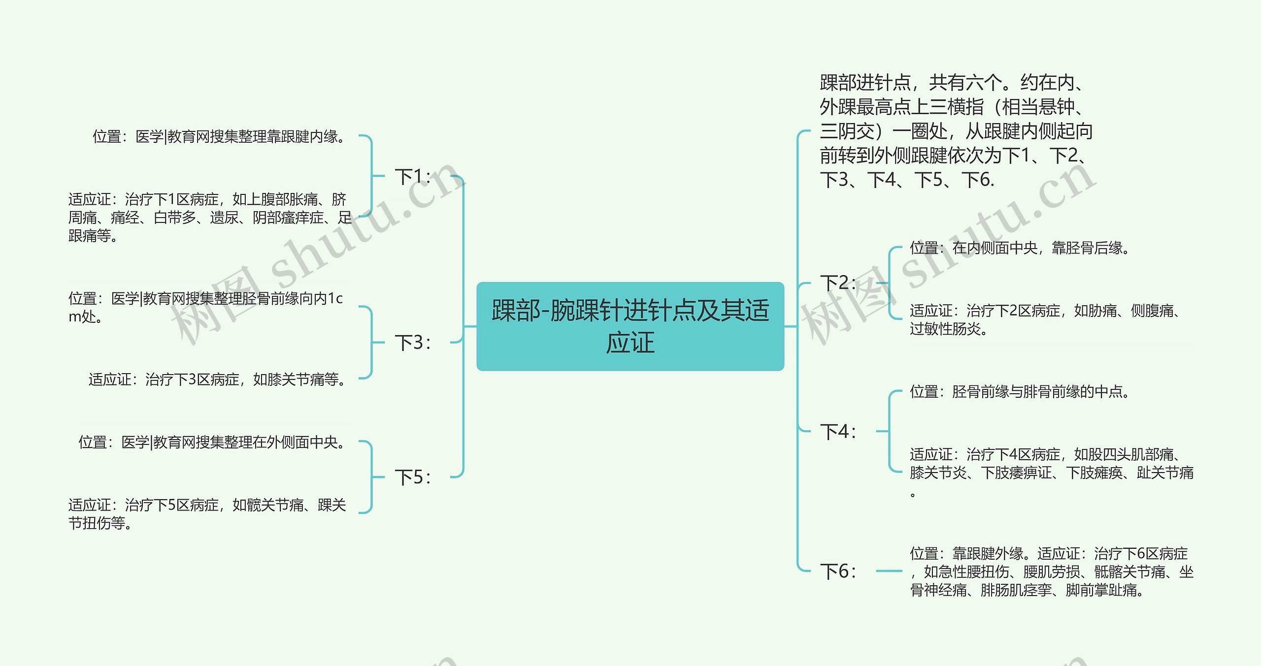 踝部-腕踝针进针点及其适应证