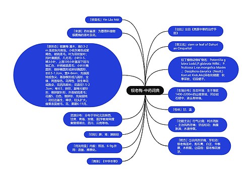 银老梅-中药词典
