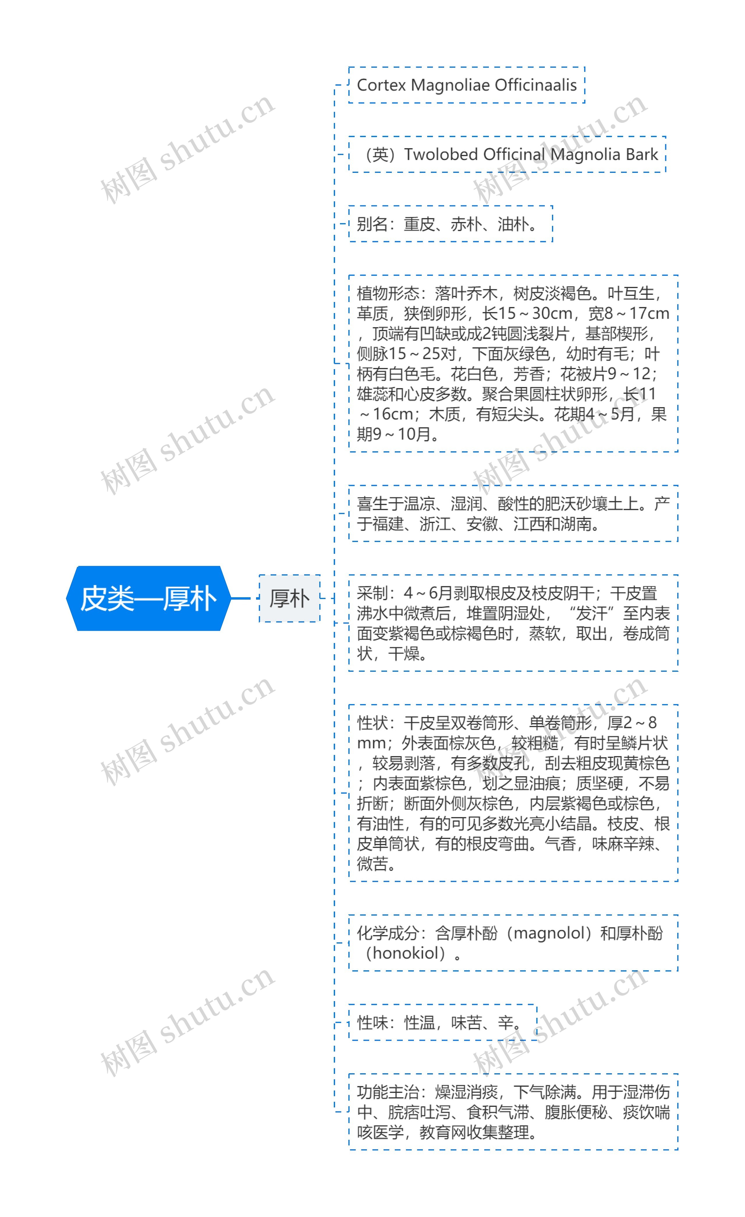 皮类—厚朴思维导图