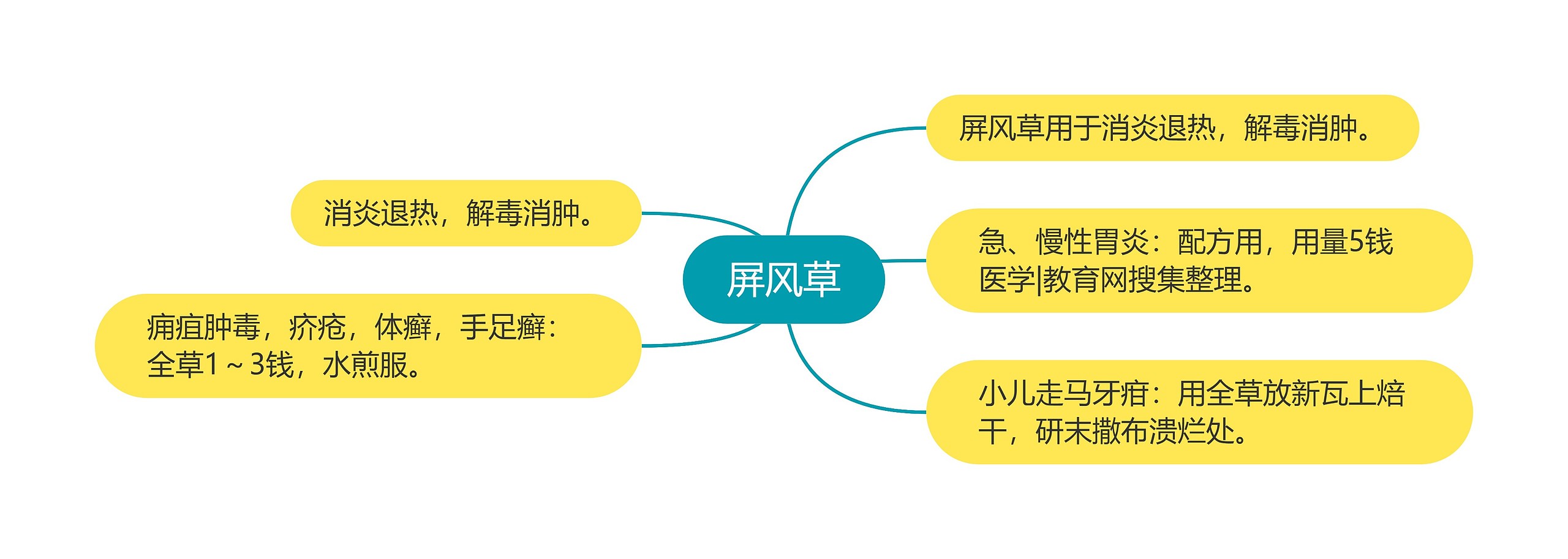 屏风草思维导图