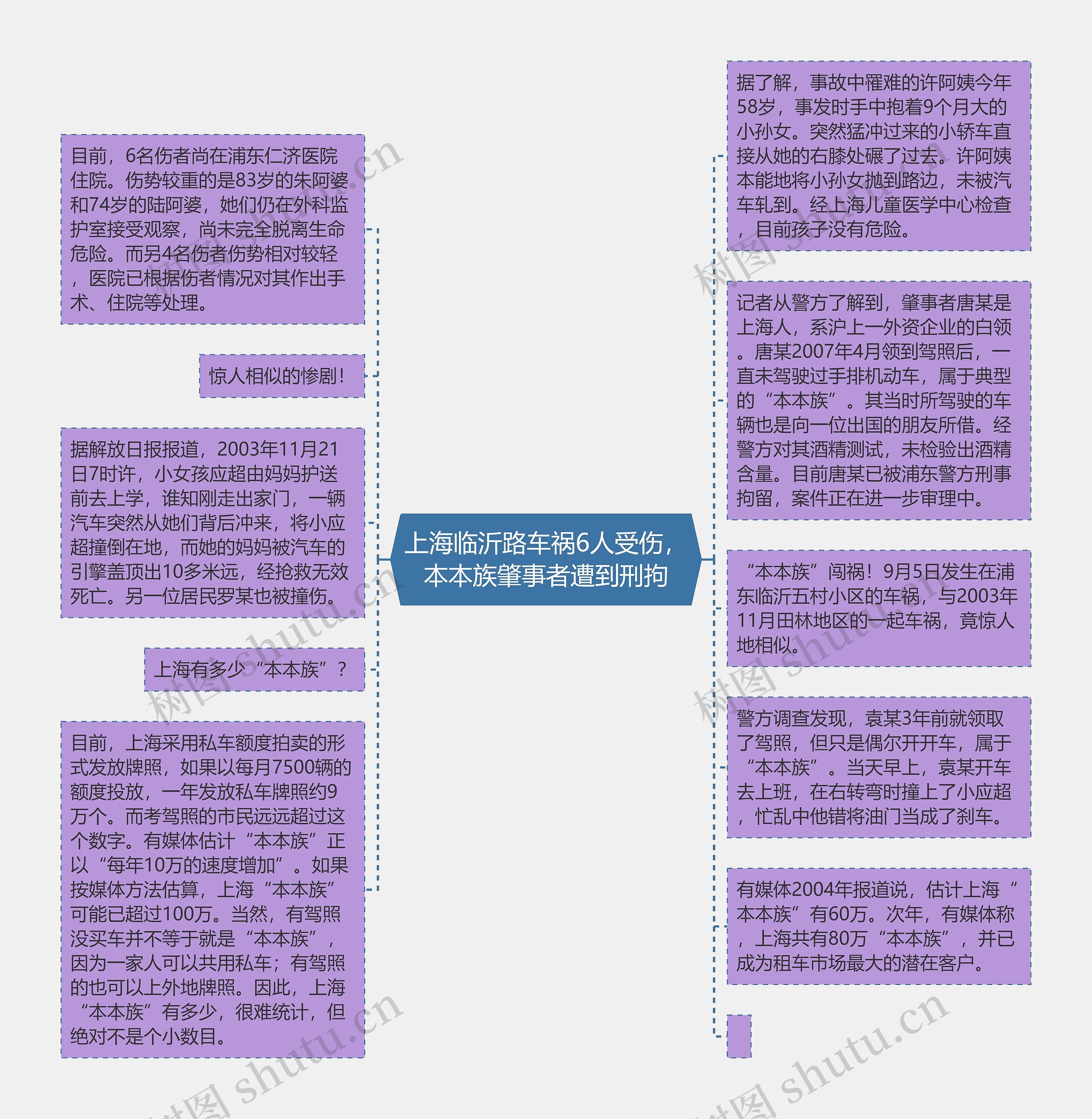 上海临沂路车祸6人受伤，本本族肇事者遭到刑拘思维导图