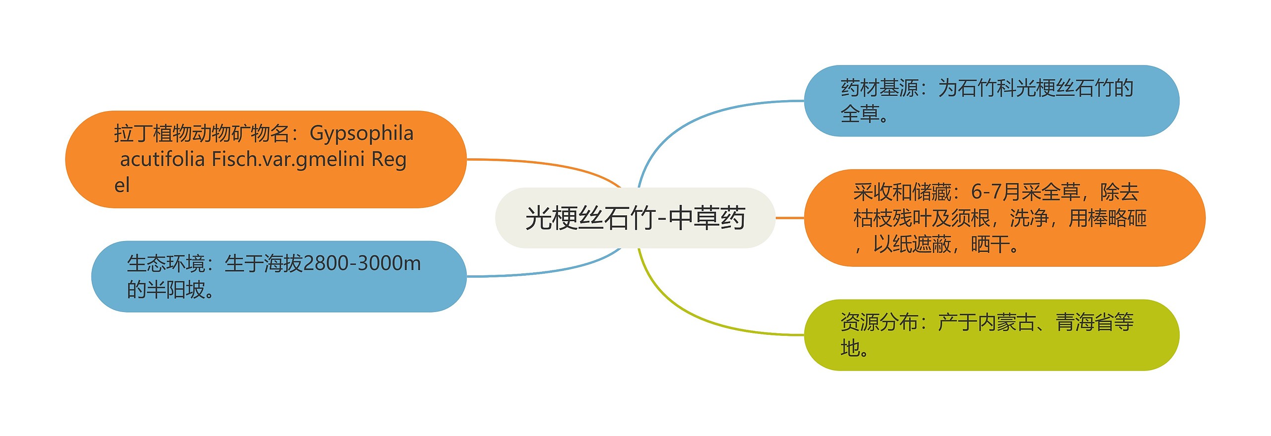 光梗丝石竹-中草药 光梗丝石竹-中草药