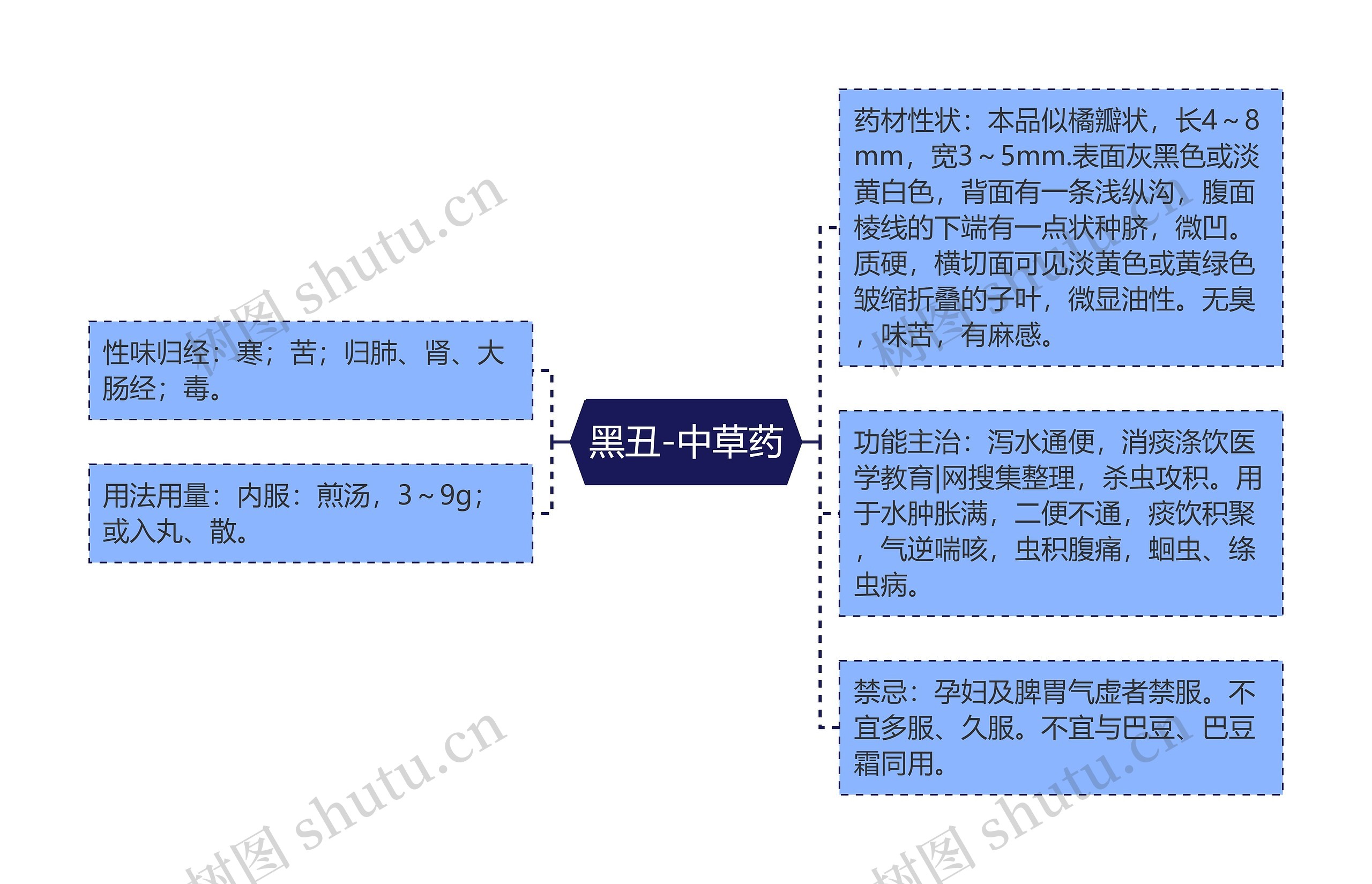 黑丑-中草药 黑丑-中草药
