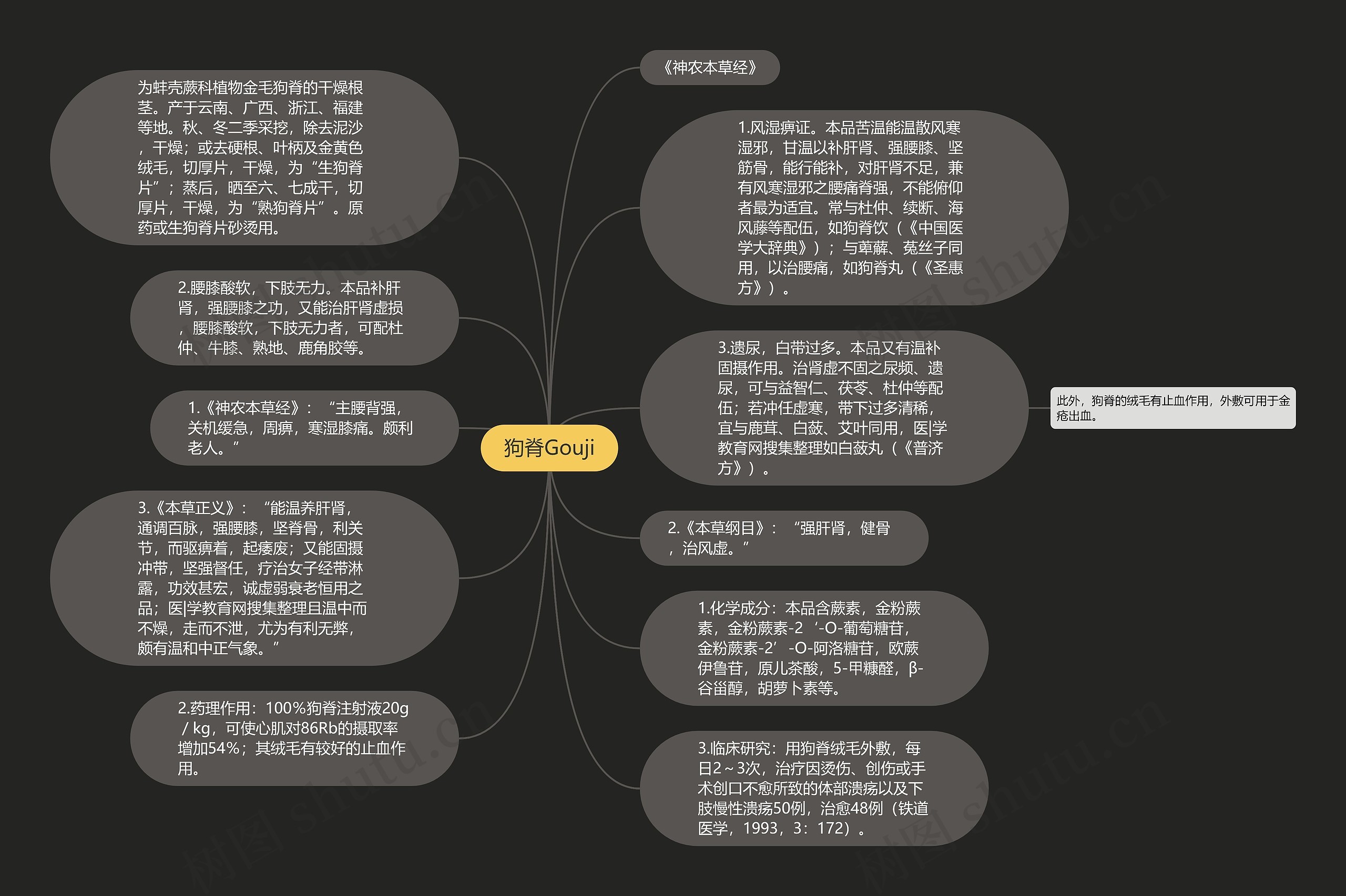 狗脊Gouji思维导图