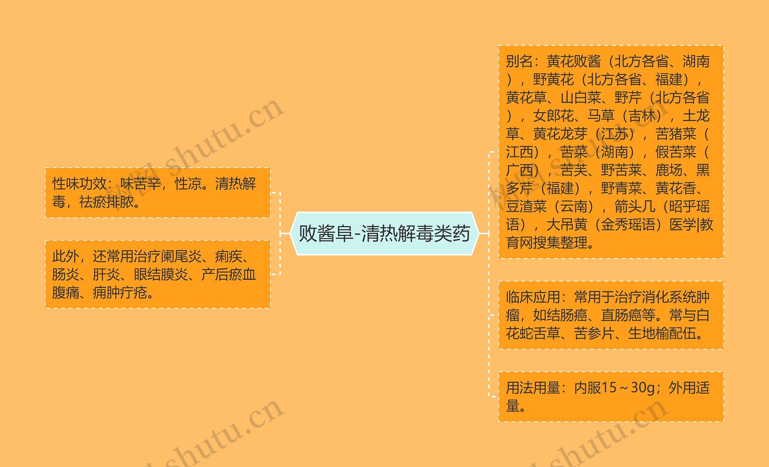 败酱阜-清热解毒类药 败酱阜-清热解毒类药