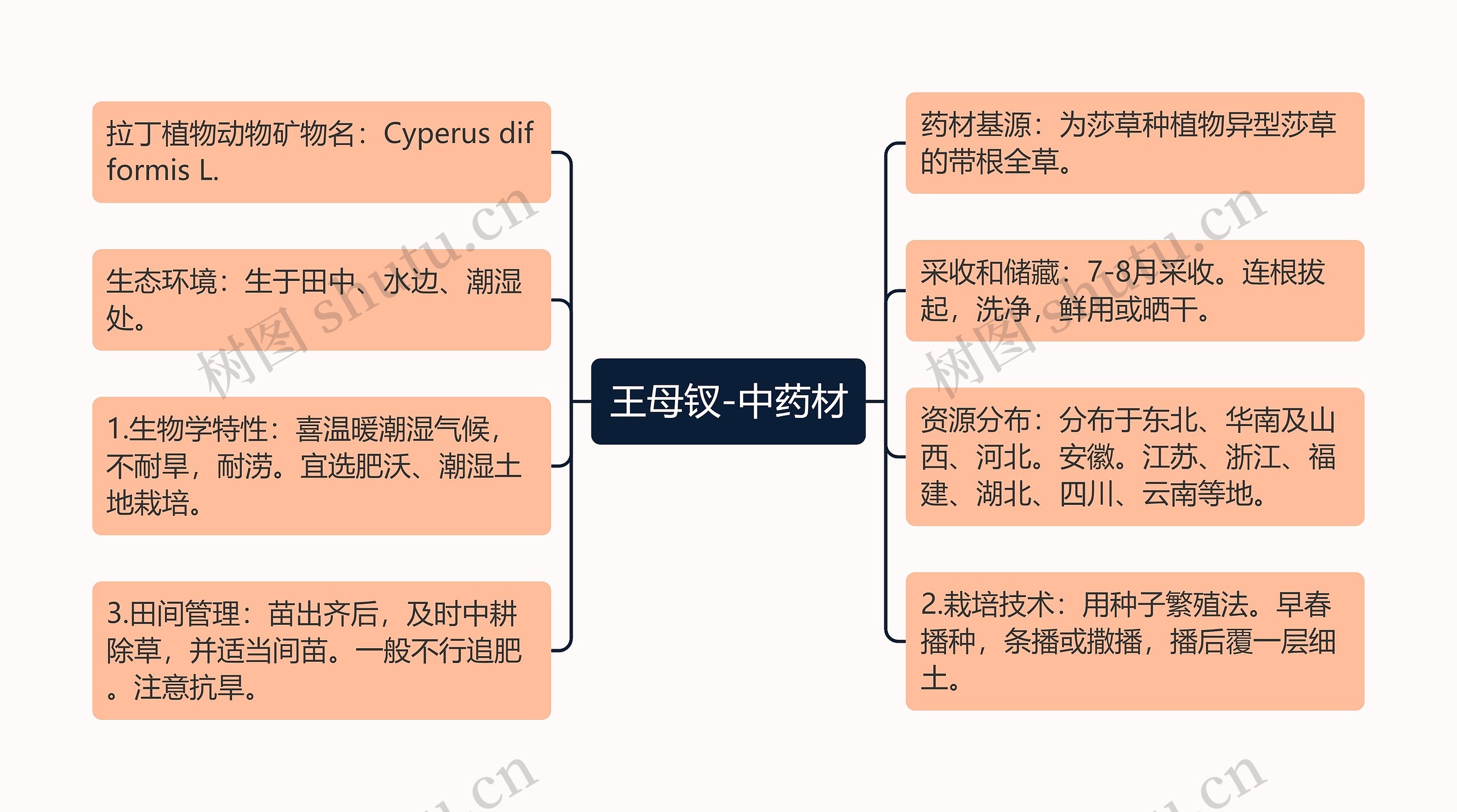 王母钗-中药材思维导图