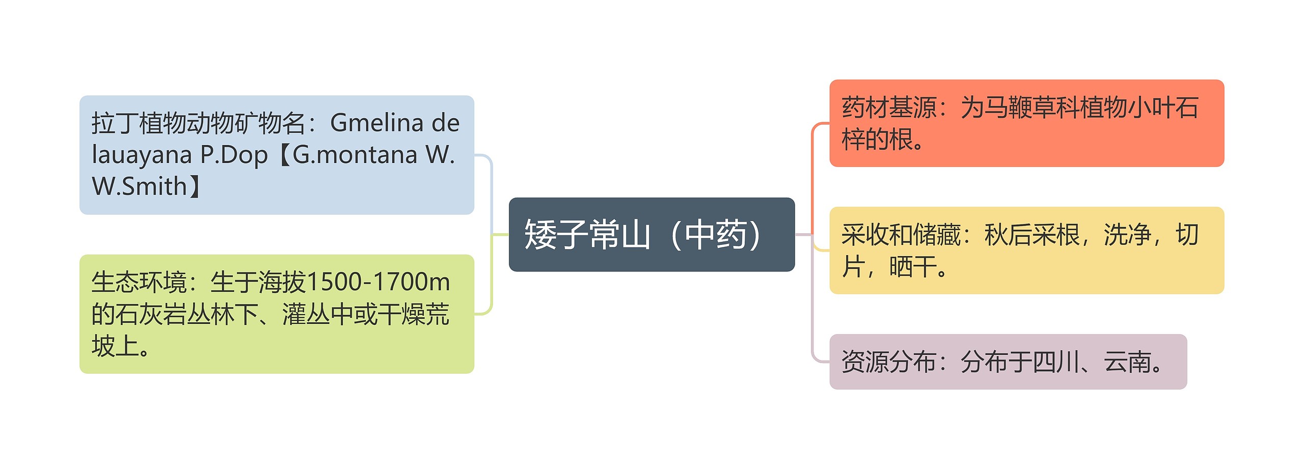 矮子常山（中药）思维导图