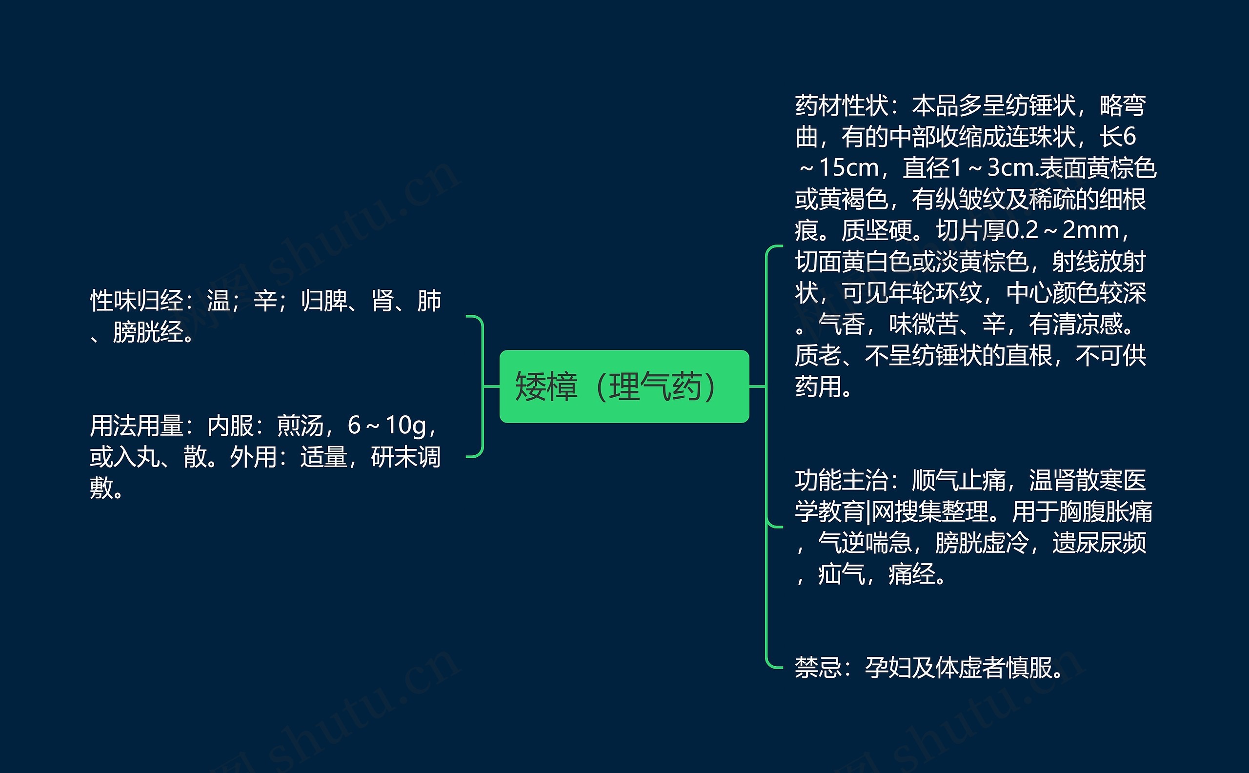 矮樟（理气药）思维导图