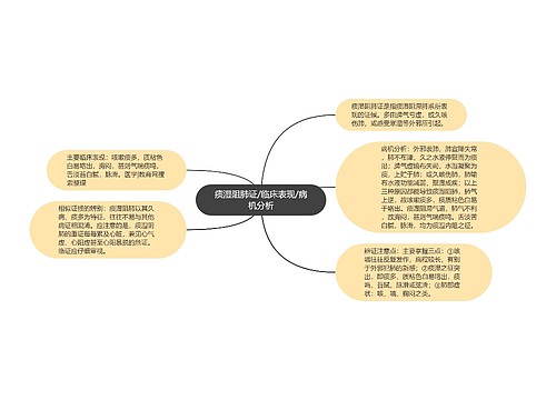 痰湿阻肺证/临床表现/病机分析