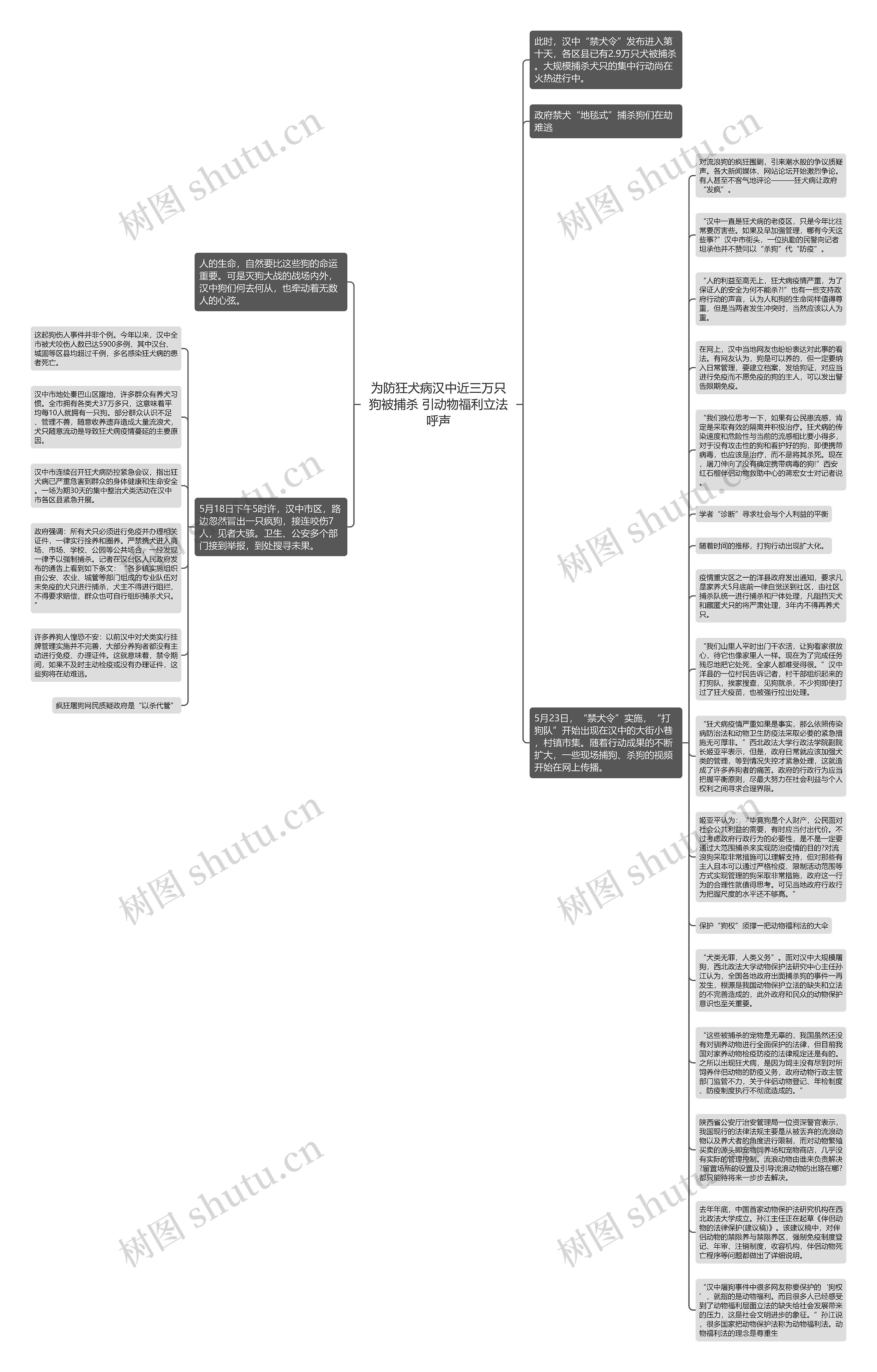 为防狂犬病汉中近三万只狗被捕杀 引动物福利立法呼声思维导图