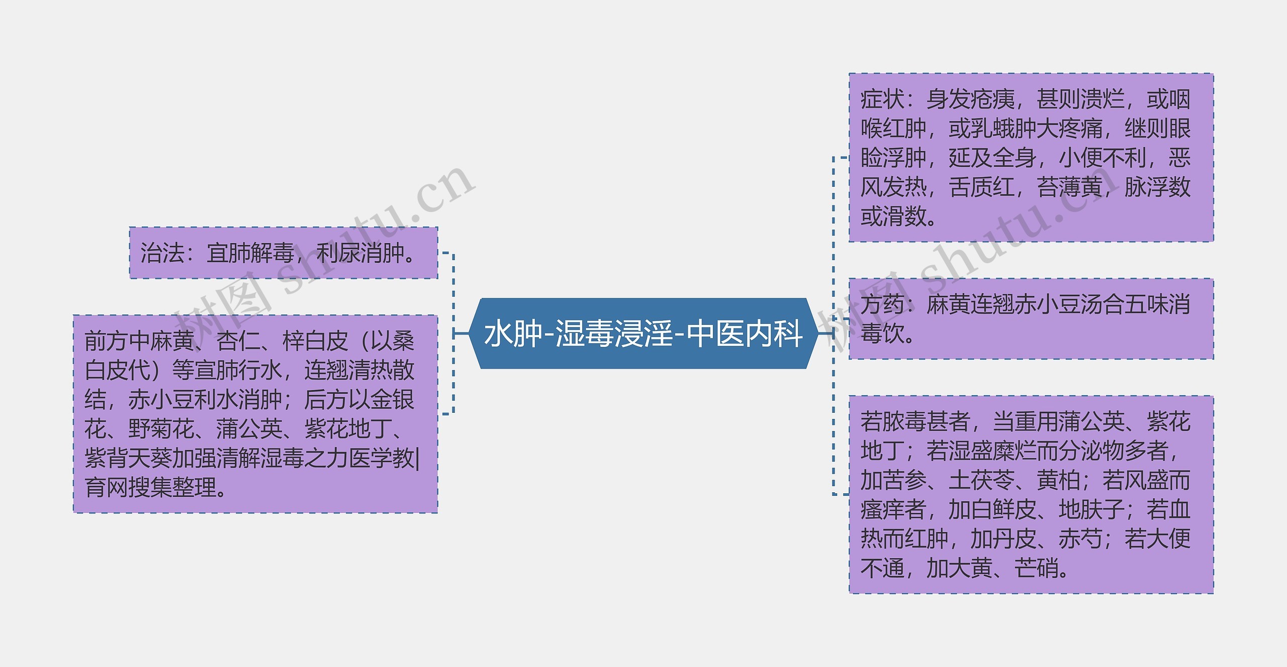 水肿-湿毒浸淫-中医内科思维导图