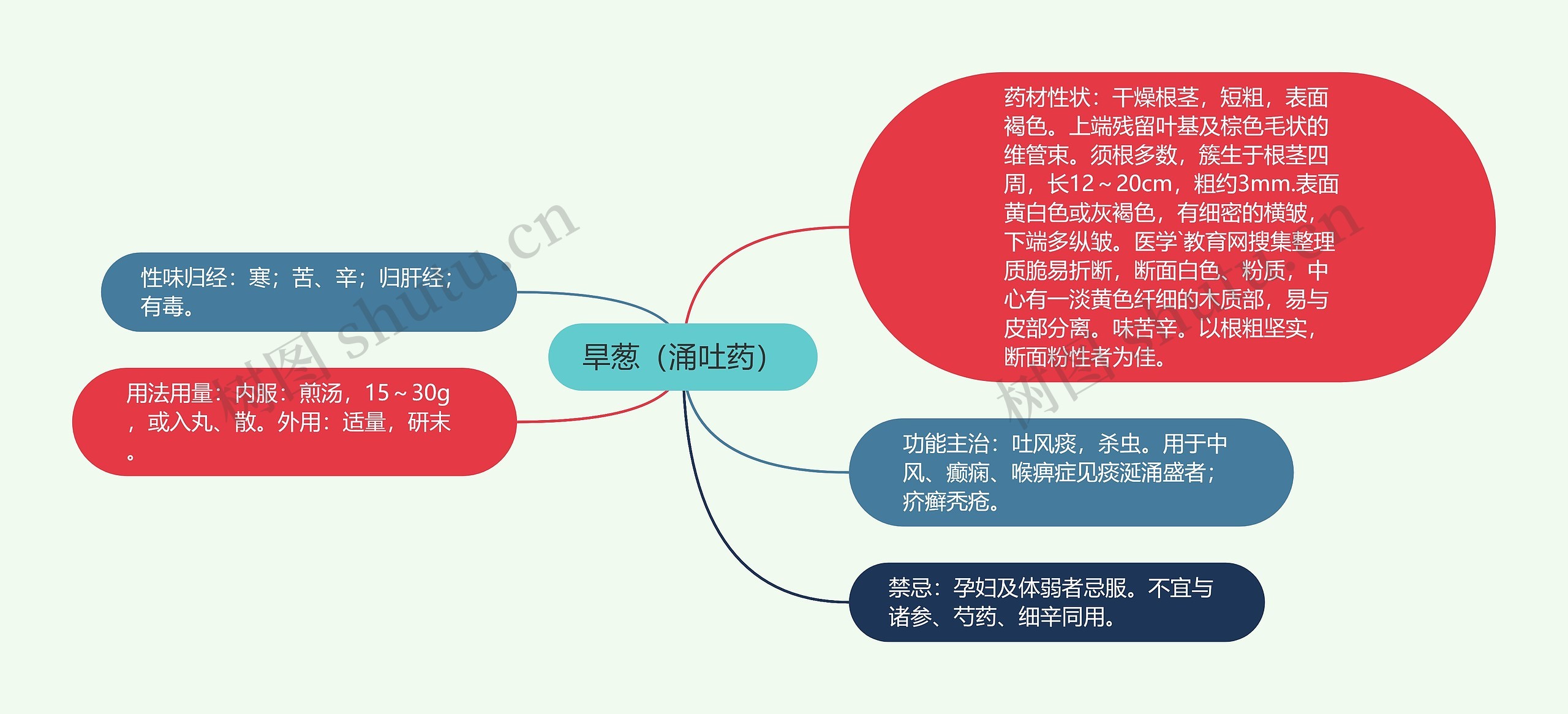 旱葱（涌吐药）思维导图