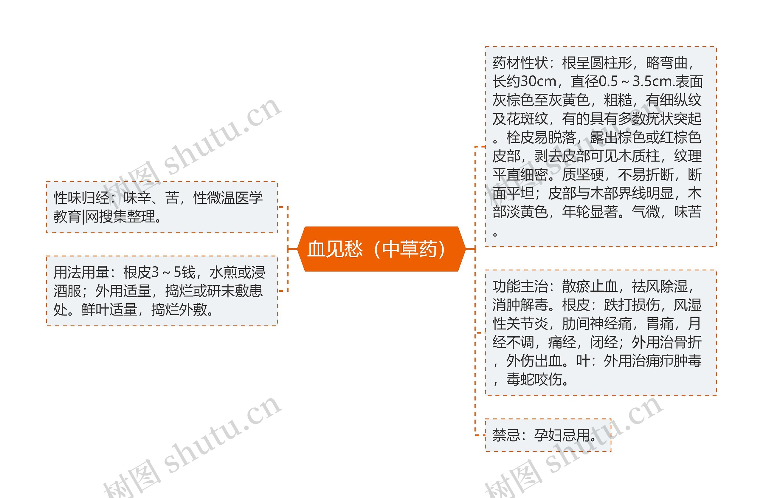 血见愁（中草药）思维导图