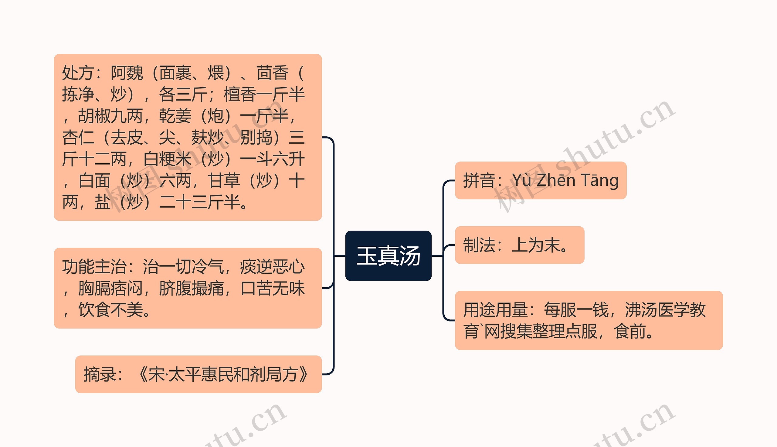 玉真汤思维导图