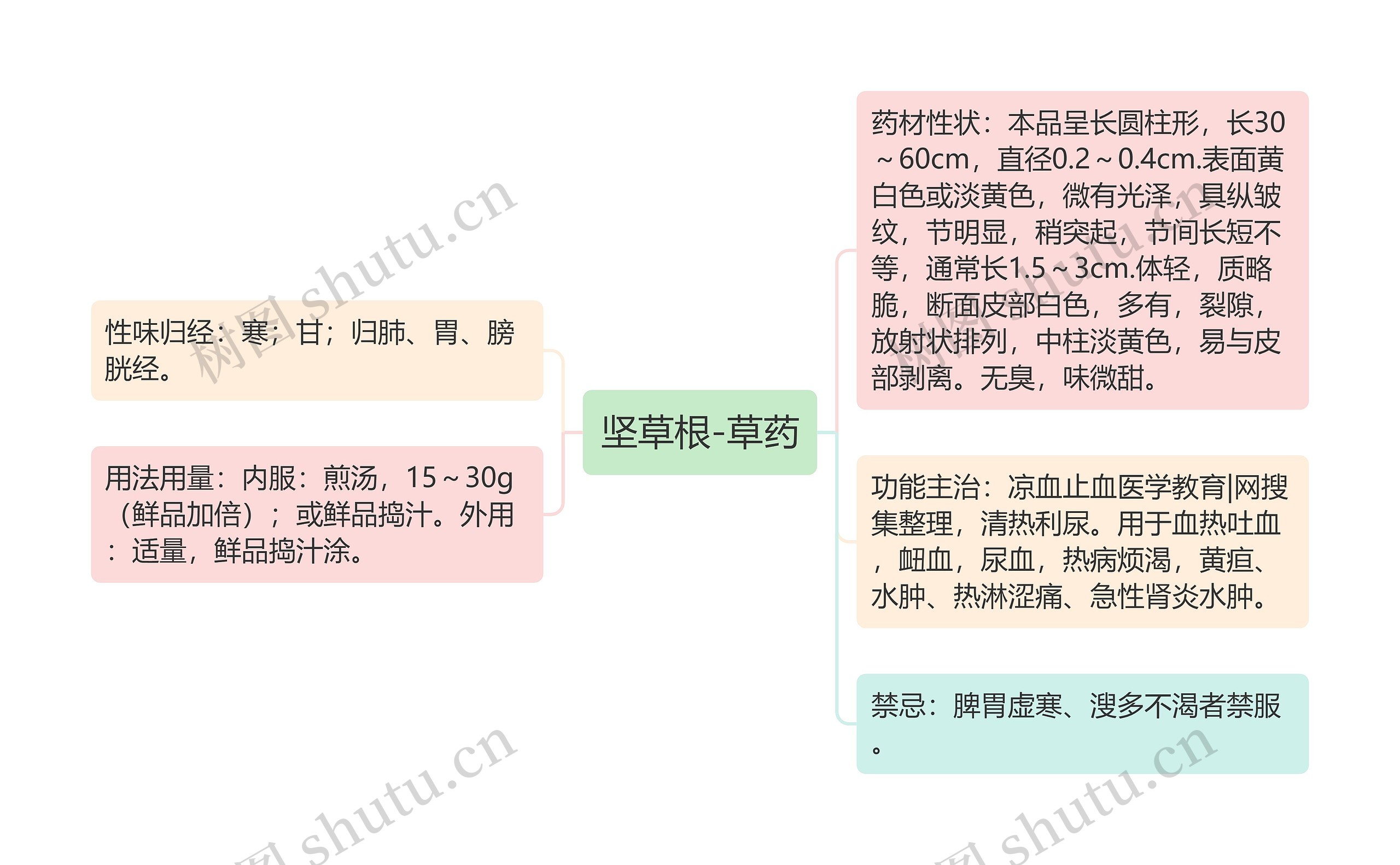 坚草根-草药思维导图