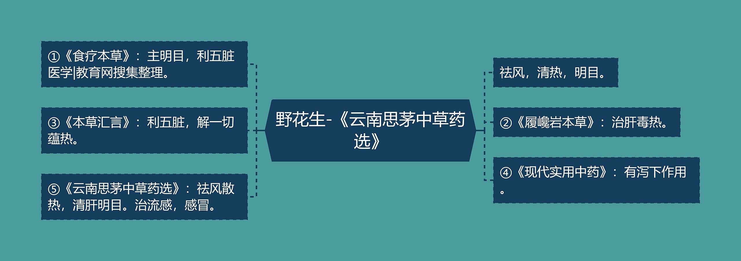 野花生-《云南思茅中草药选》思维导图