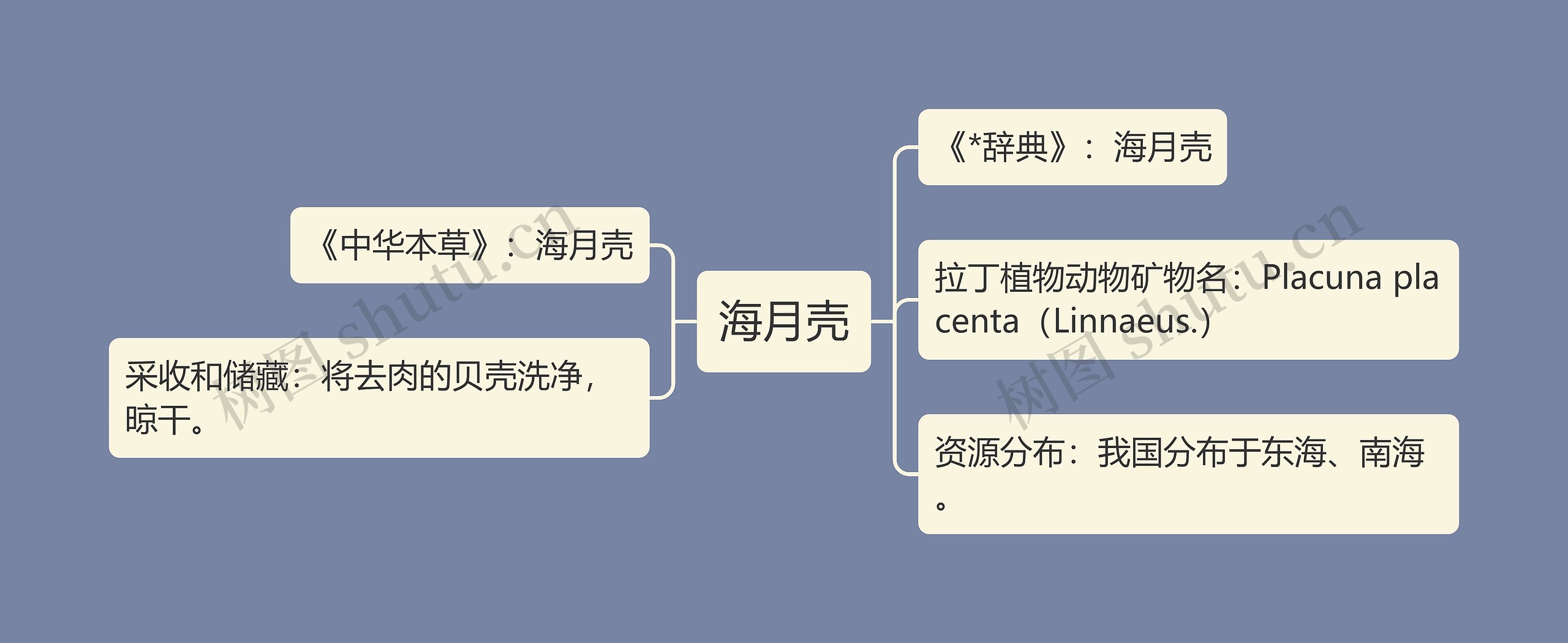 海月壳思维导图