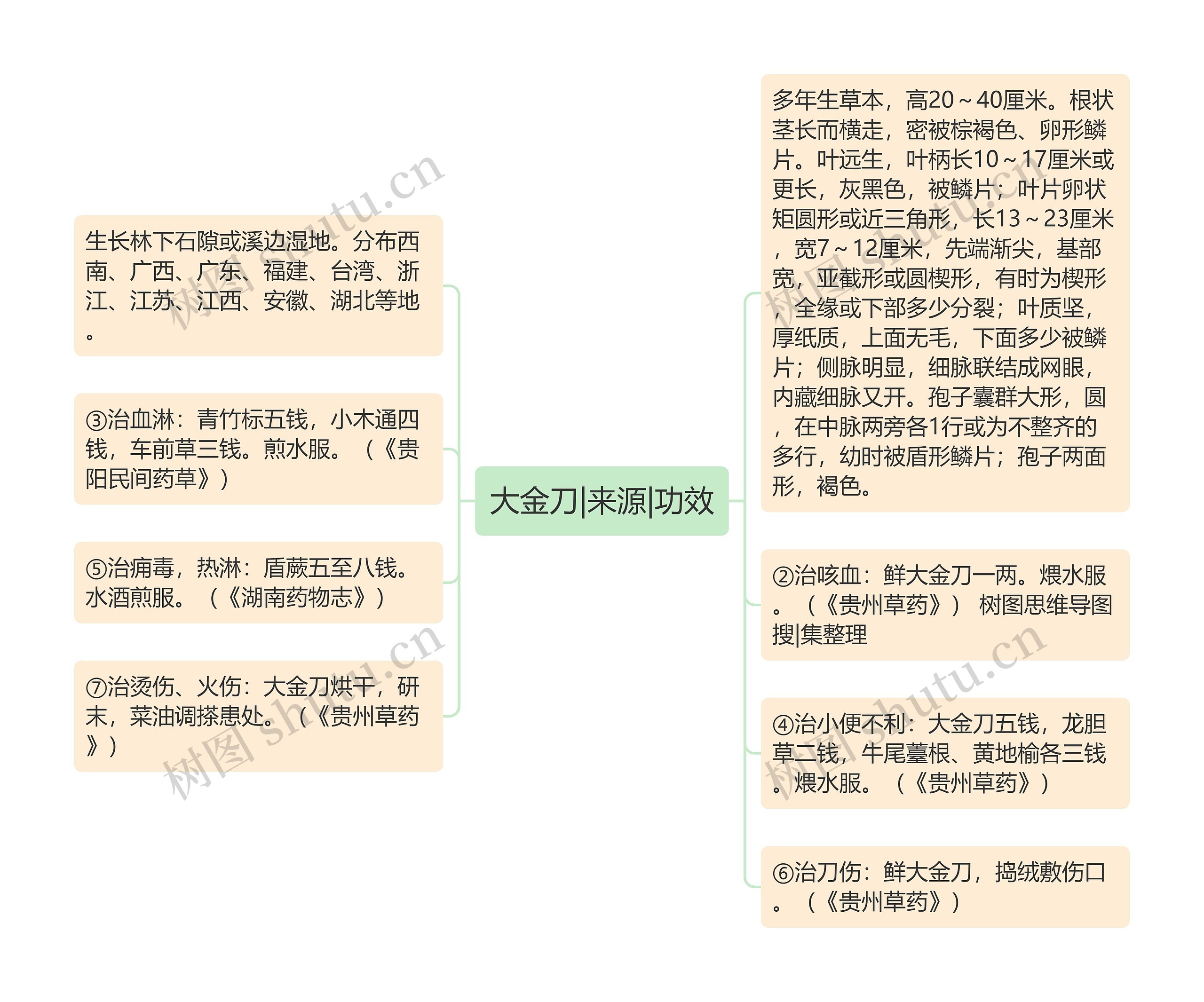 大金刀|来源|功效