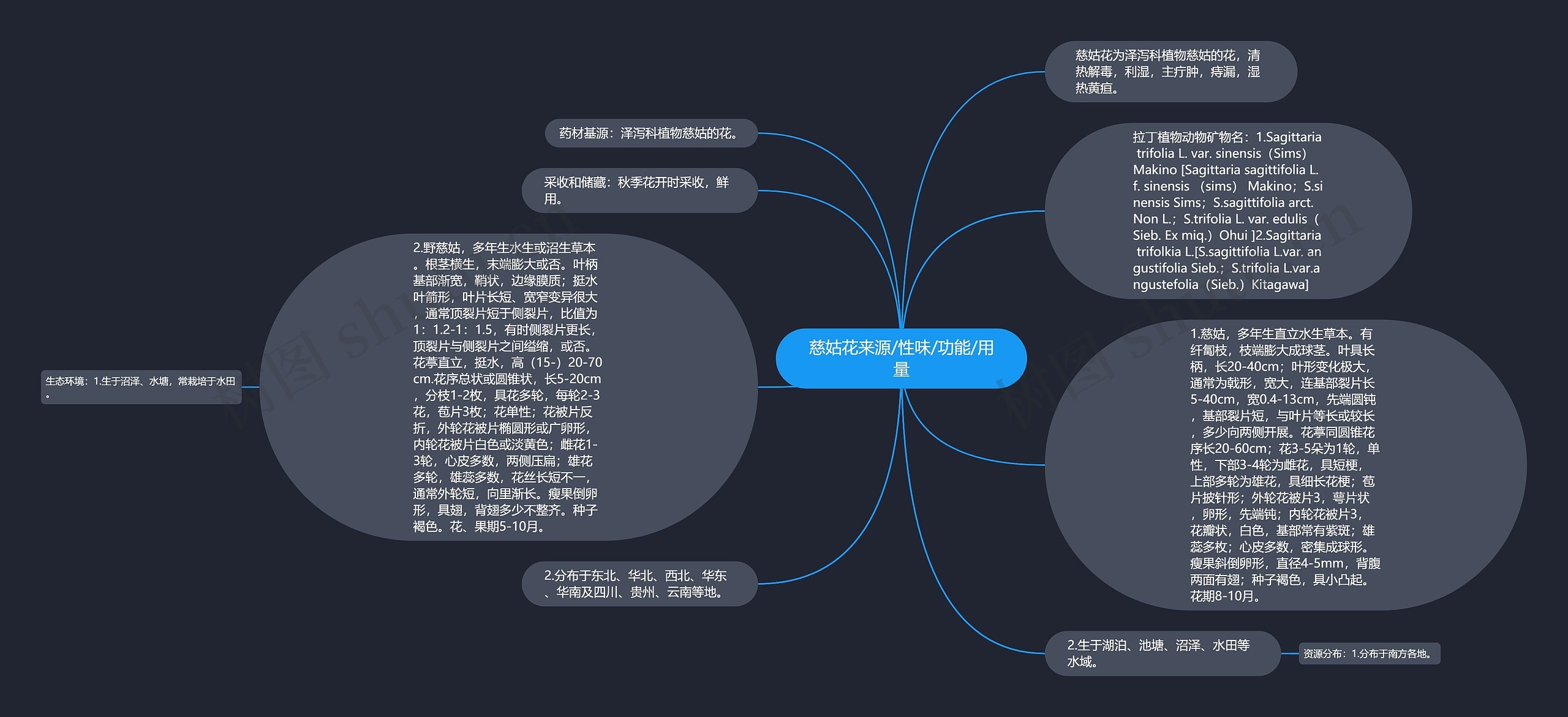 慈姑花来源/性味/功能/用量