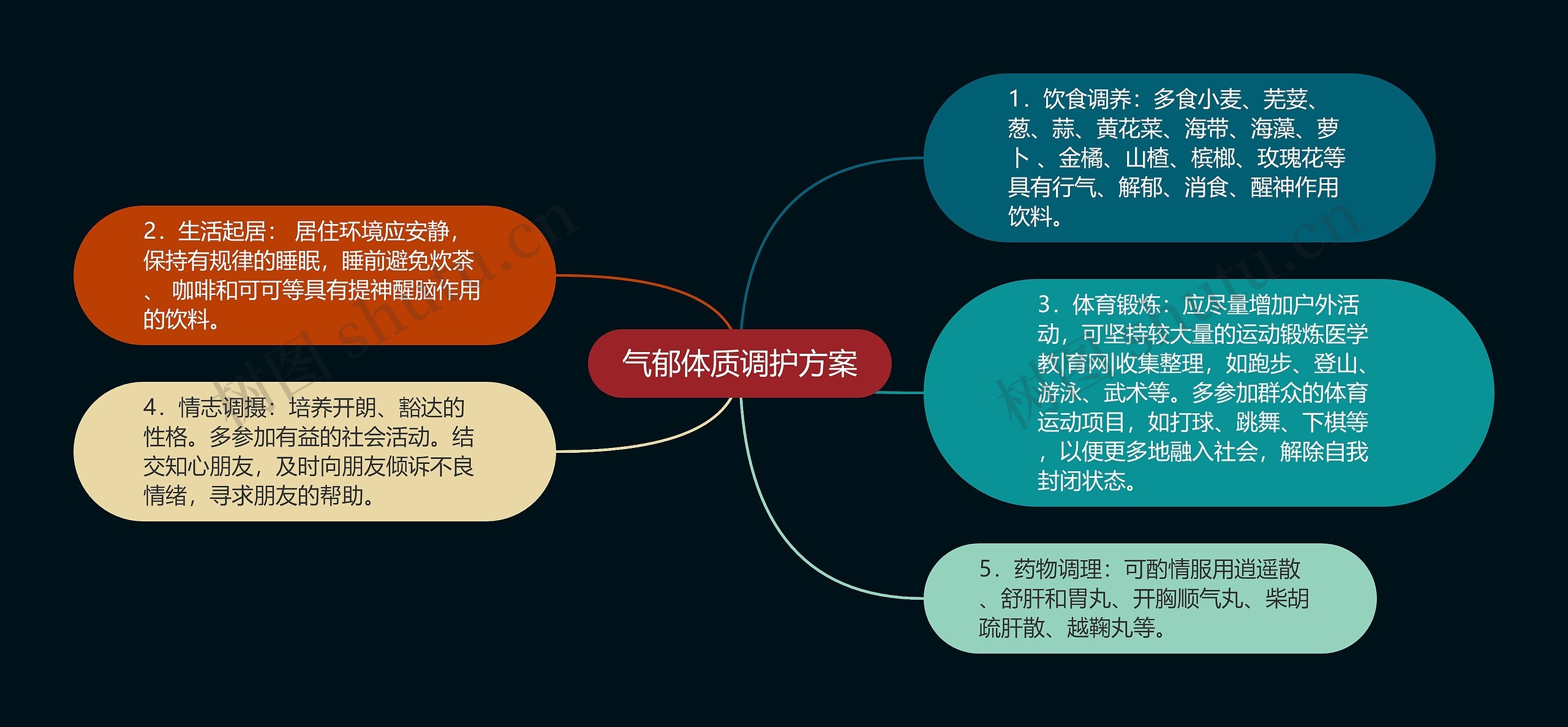 气郁体质调护方案思维导图