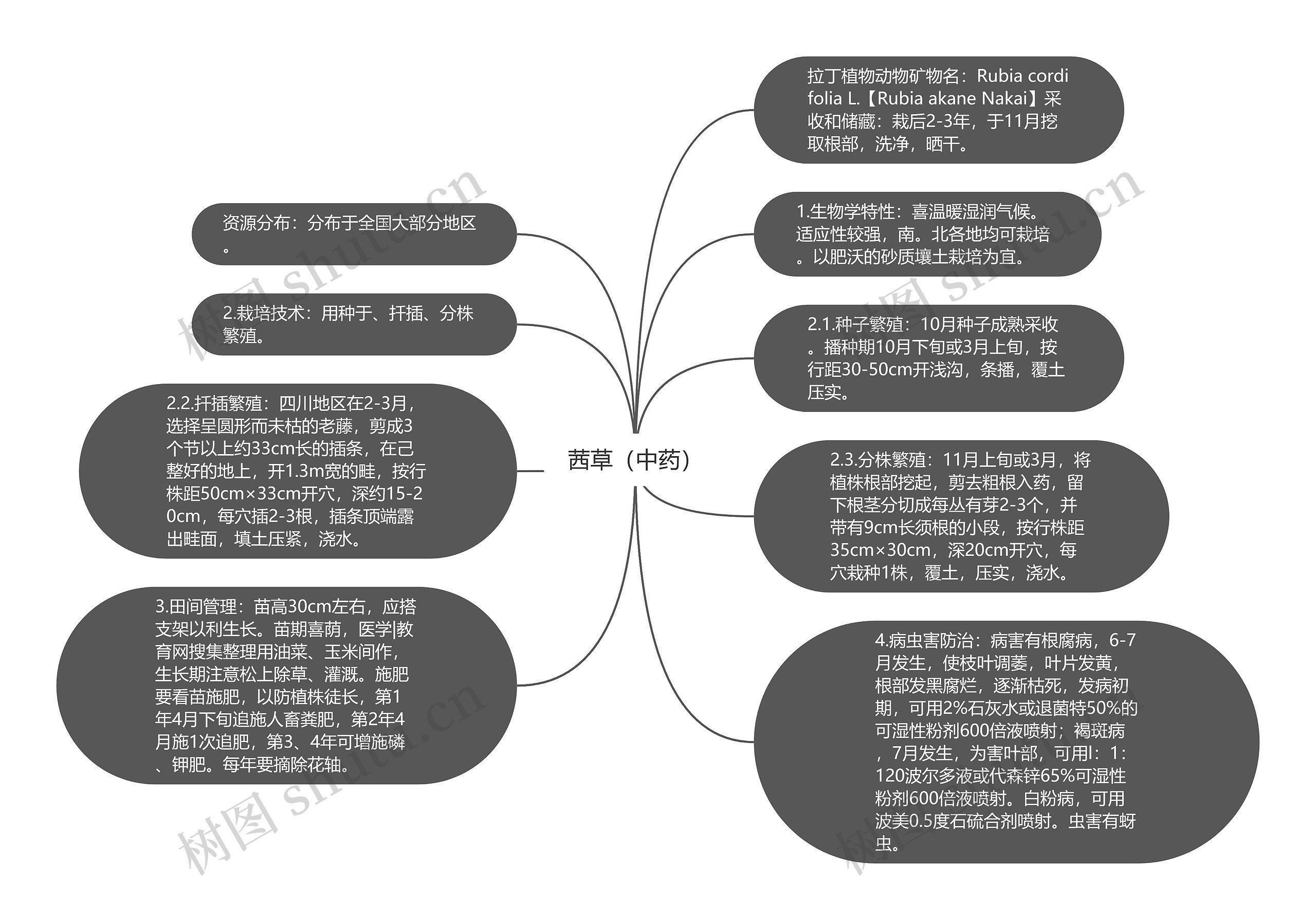 茜草（中药）思维导图