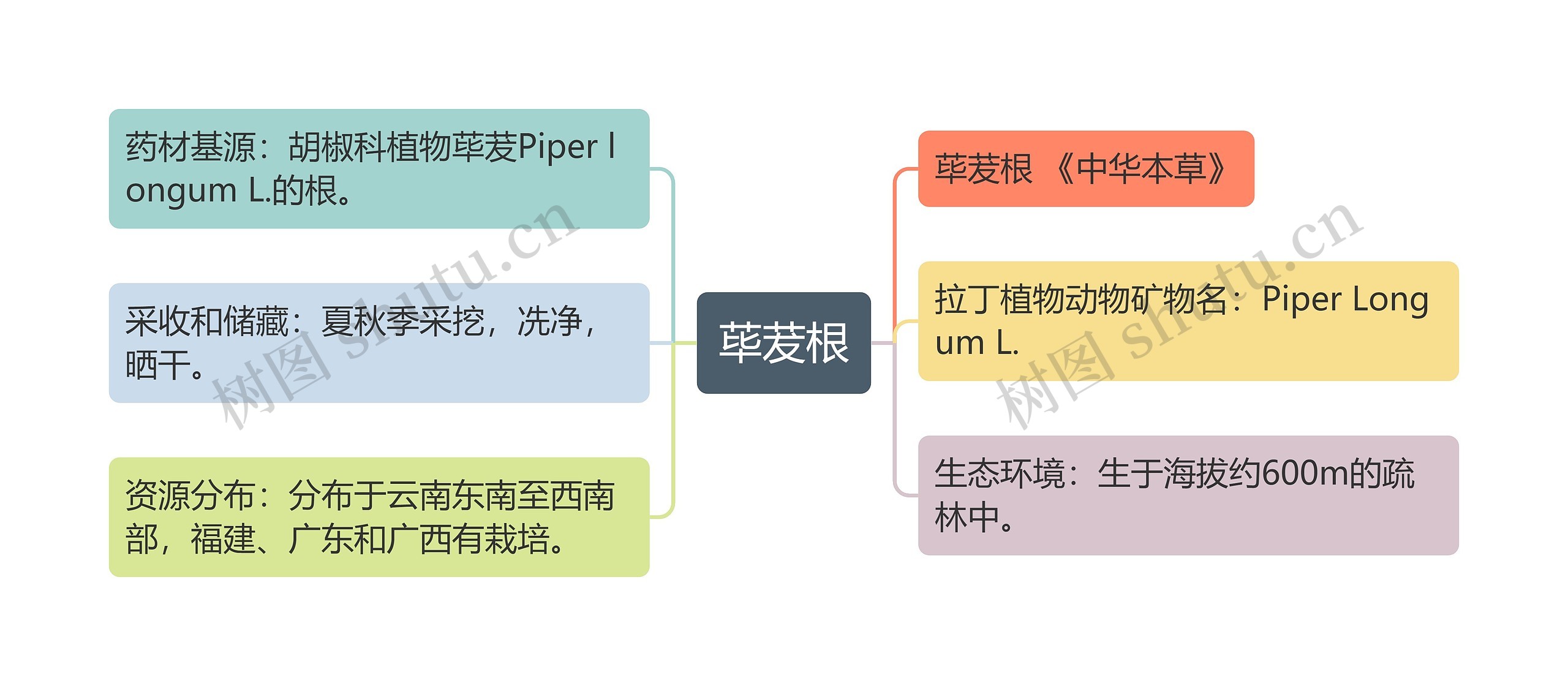 营养器官根的思维导图图片