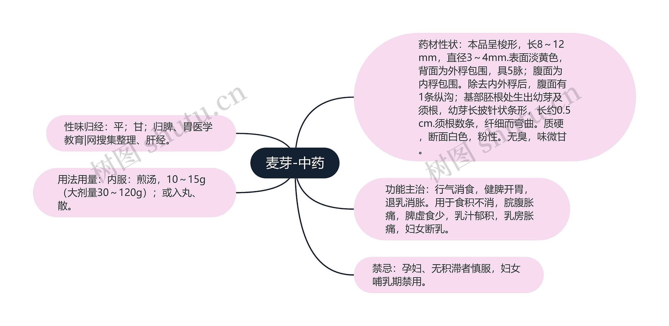 麦芽-中药思维导图