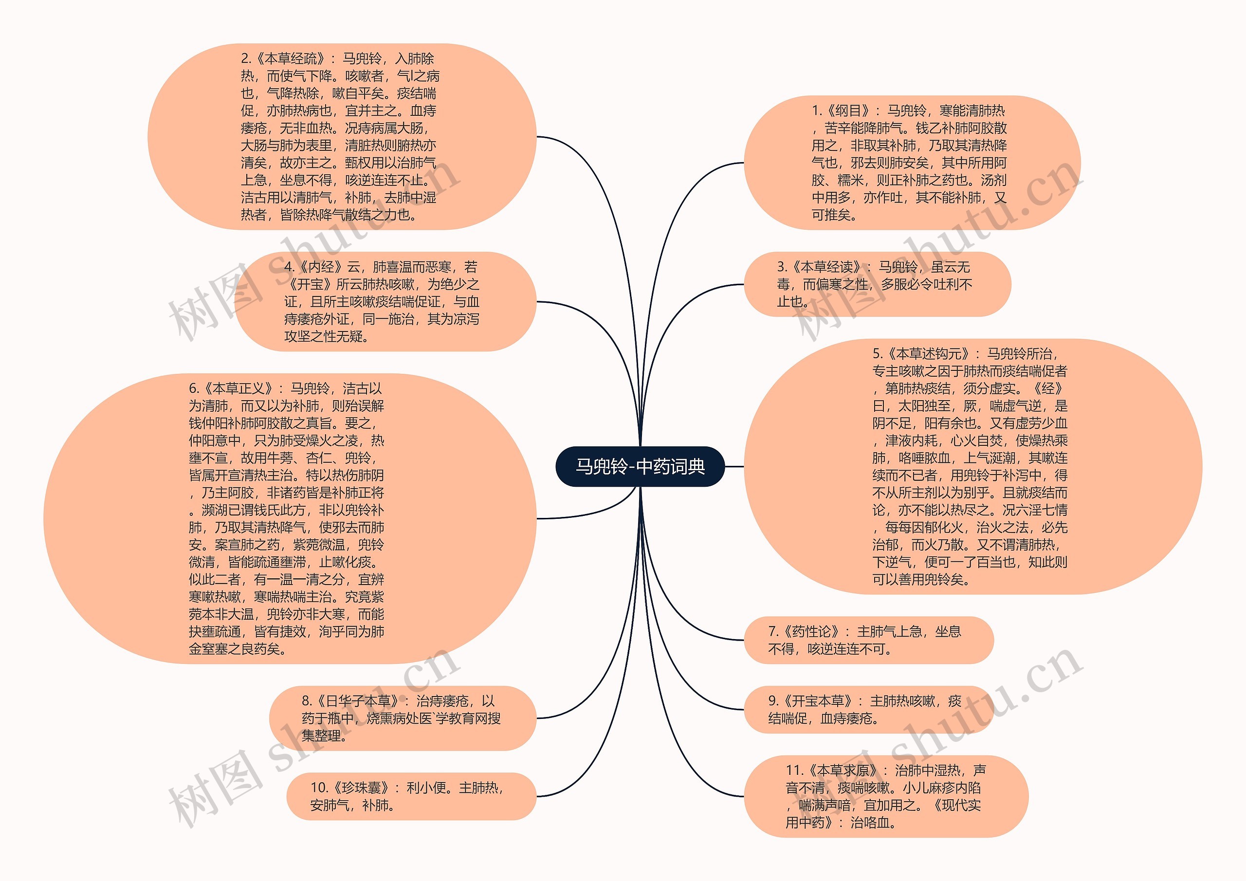 马兜铃-中药词典思维导图