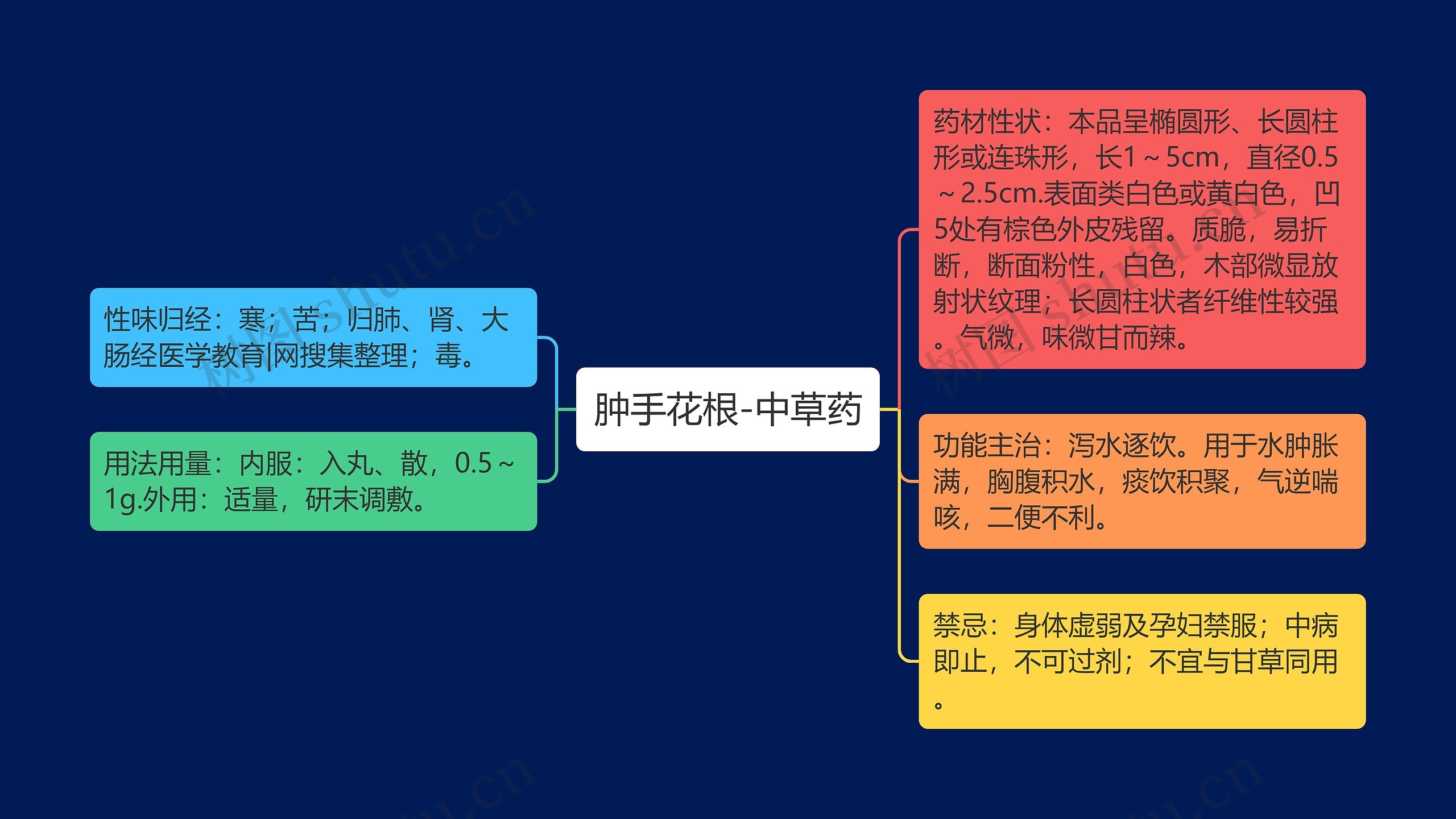 肿手花根-中草药 肿手花根-中草药
