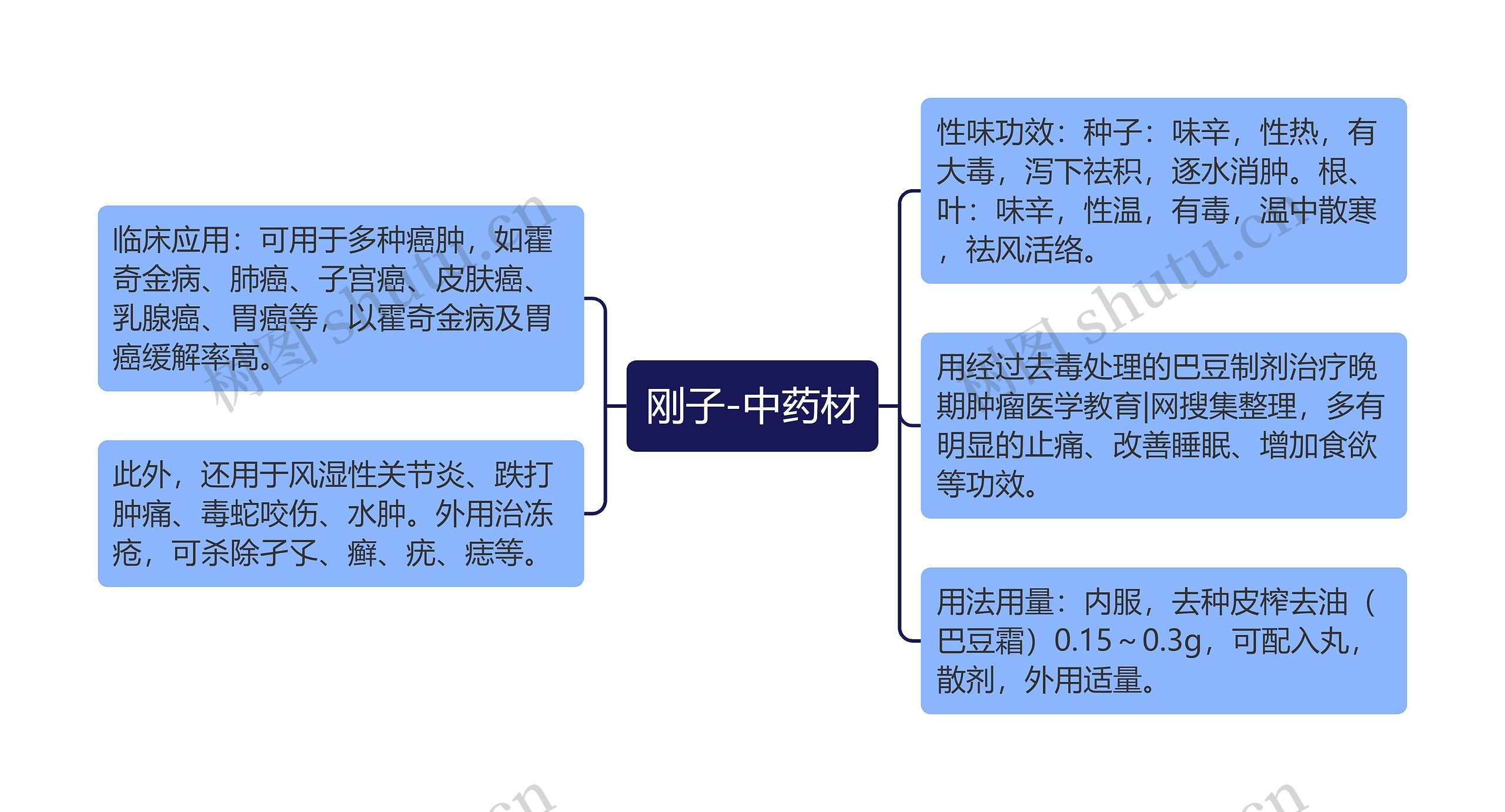 刚子-中药材