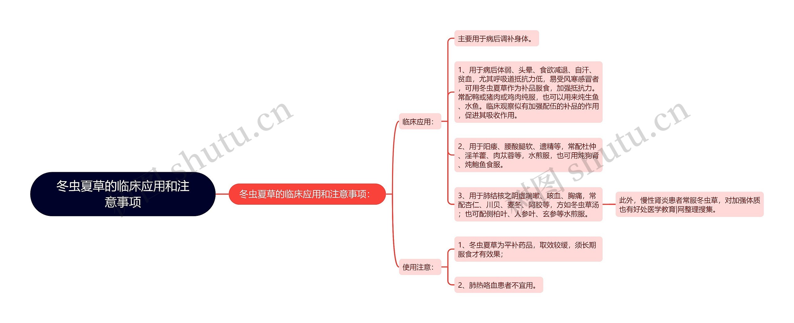 冬虫夏草的临床应用和注意事项思维导图