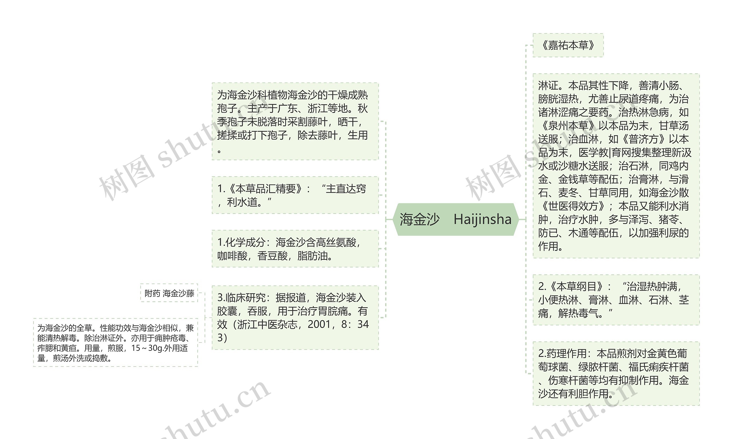 海金沙　Haijinsha思维导图