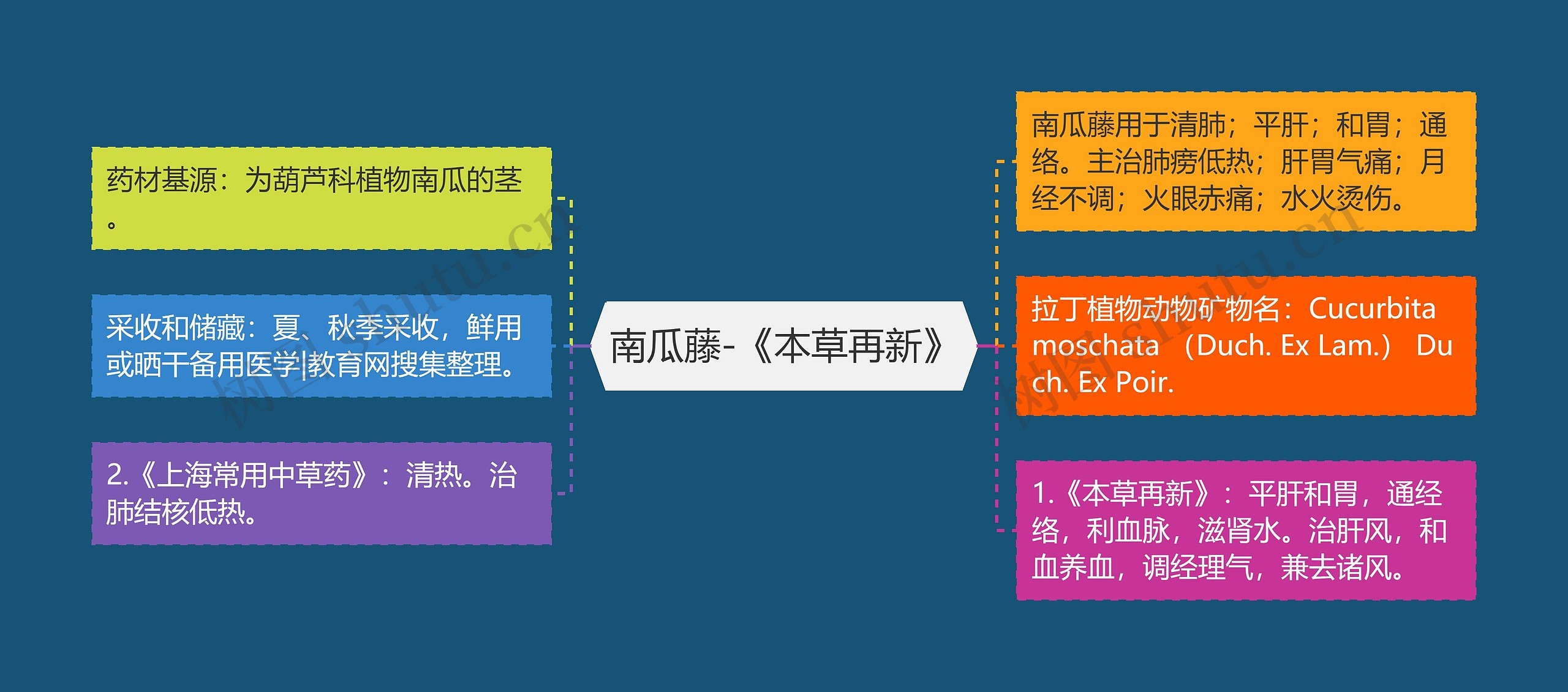 南瓜藤-《本草再新》思维导图