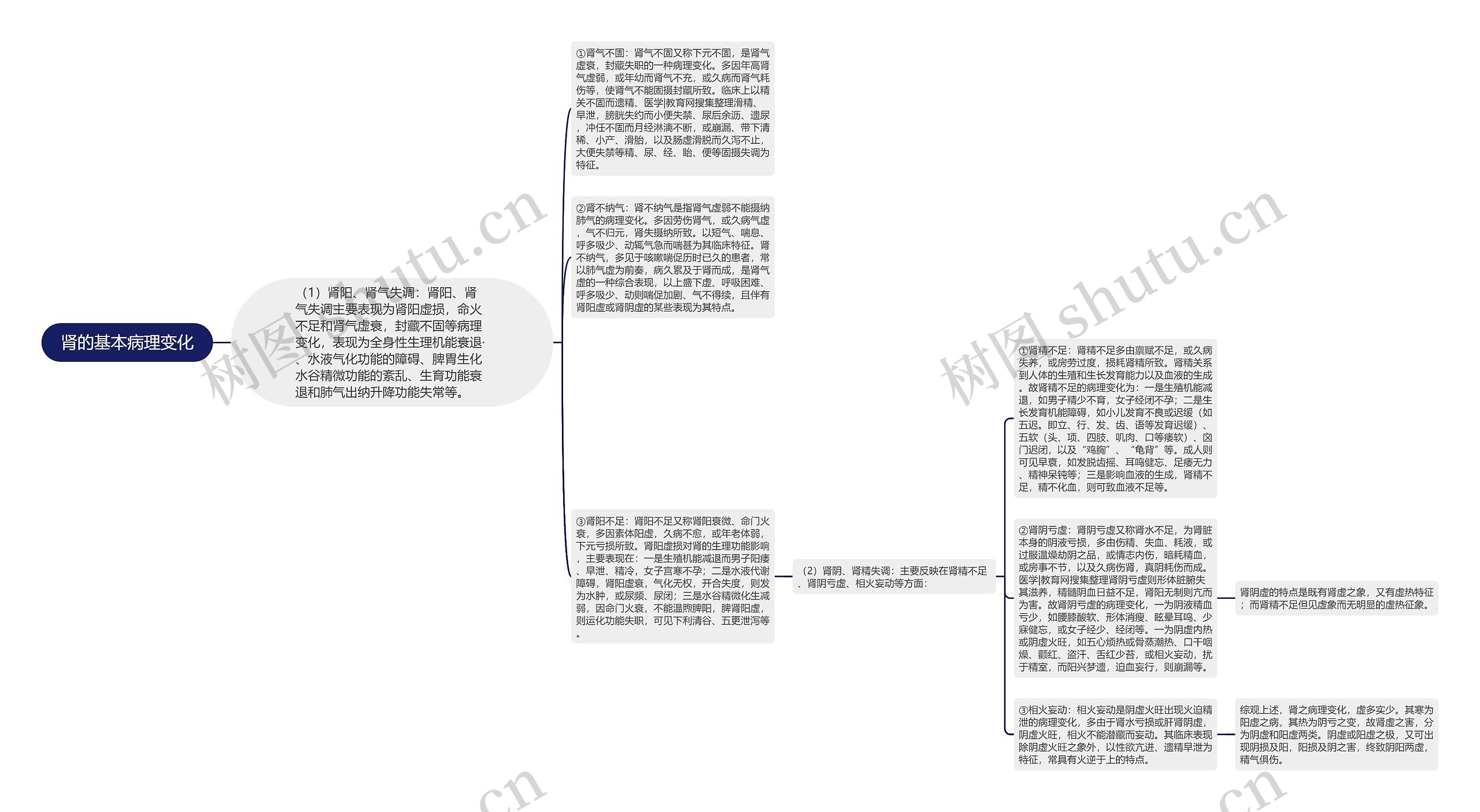 肾的基本病理变化