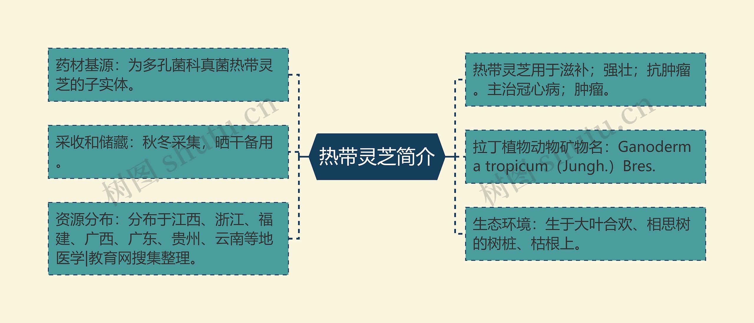 热带灵芝简介思维导图