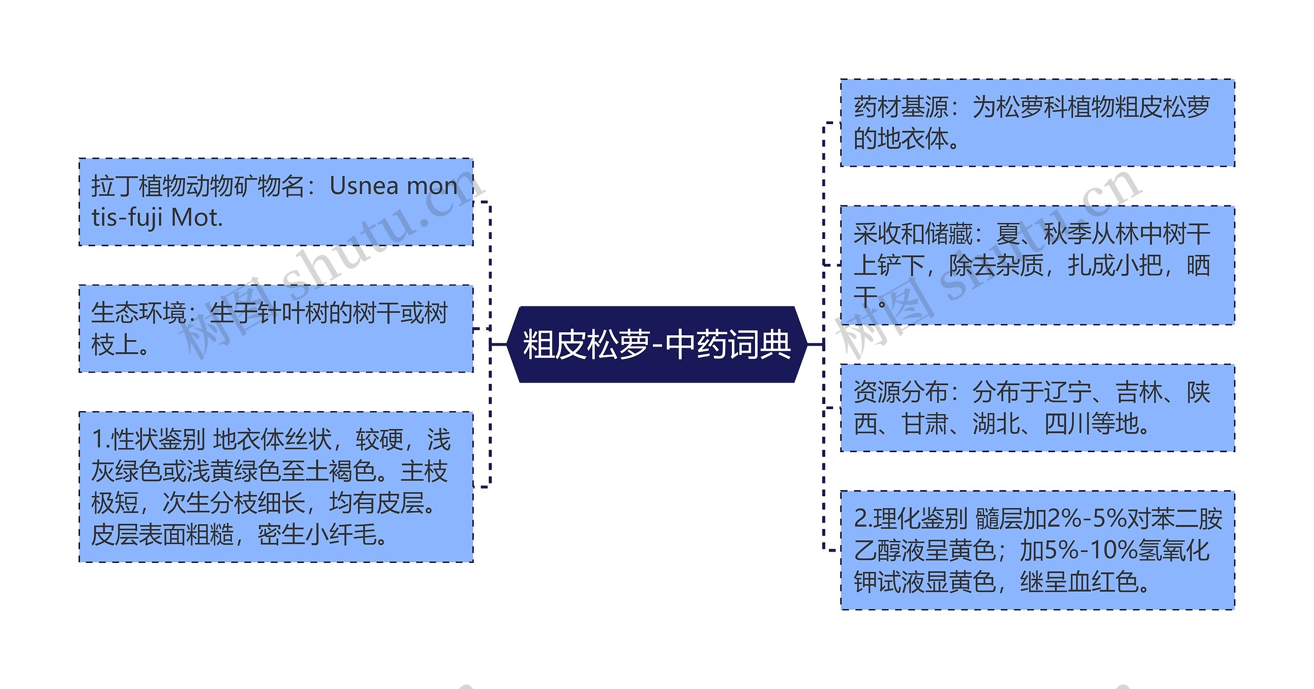 粗皮松萝-中药词典