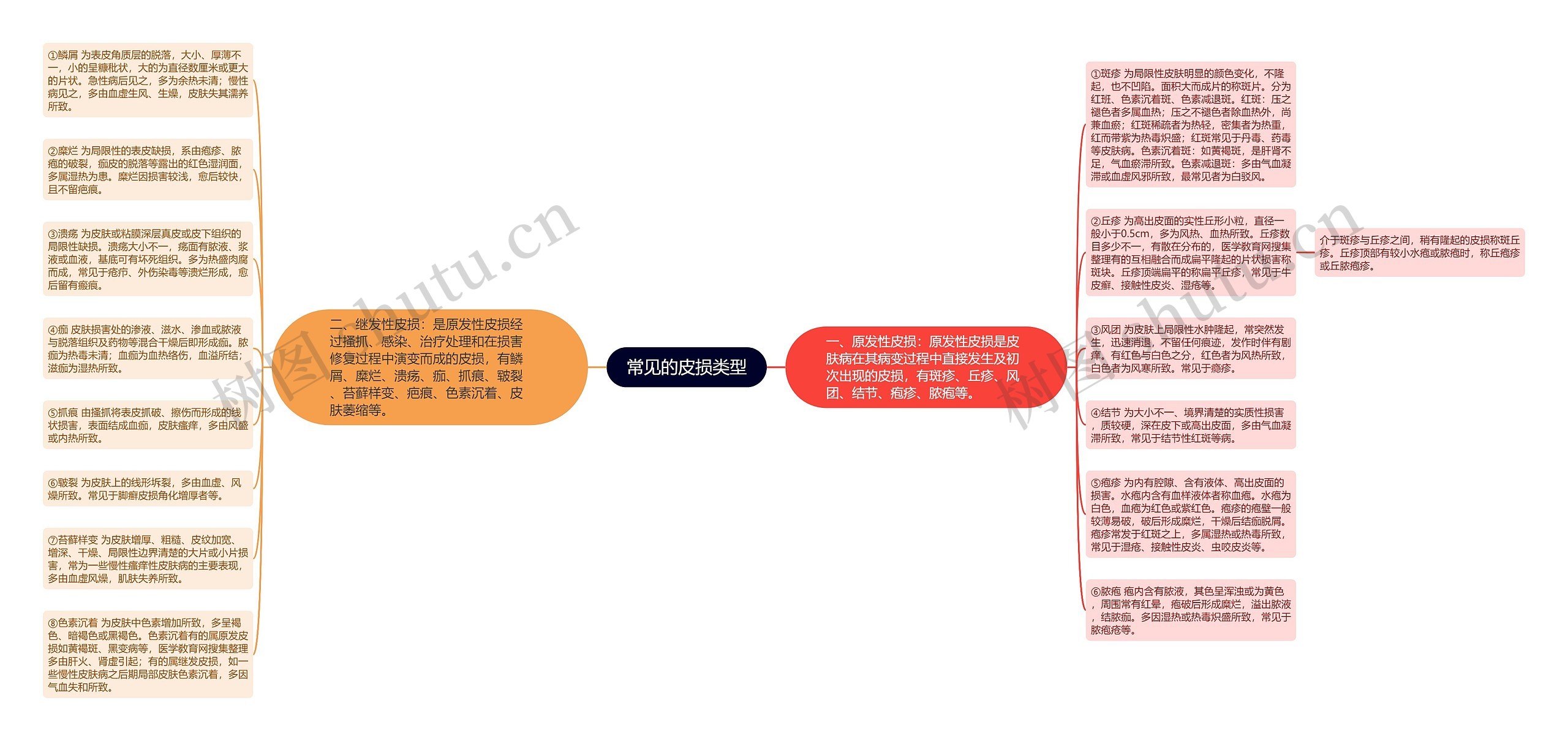 常见的皮损类型思维导图